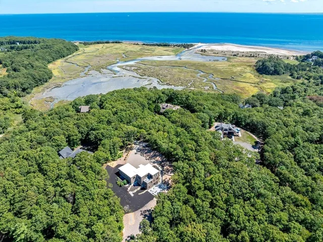 an aerial view of residential houses with outdoor space and trees all around