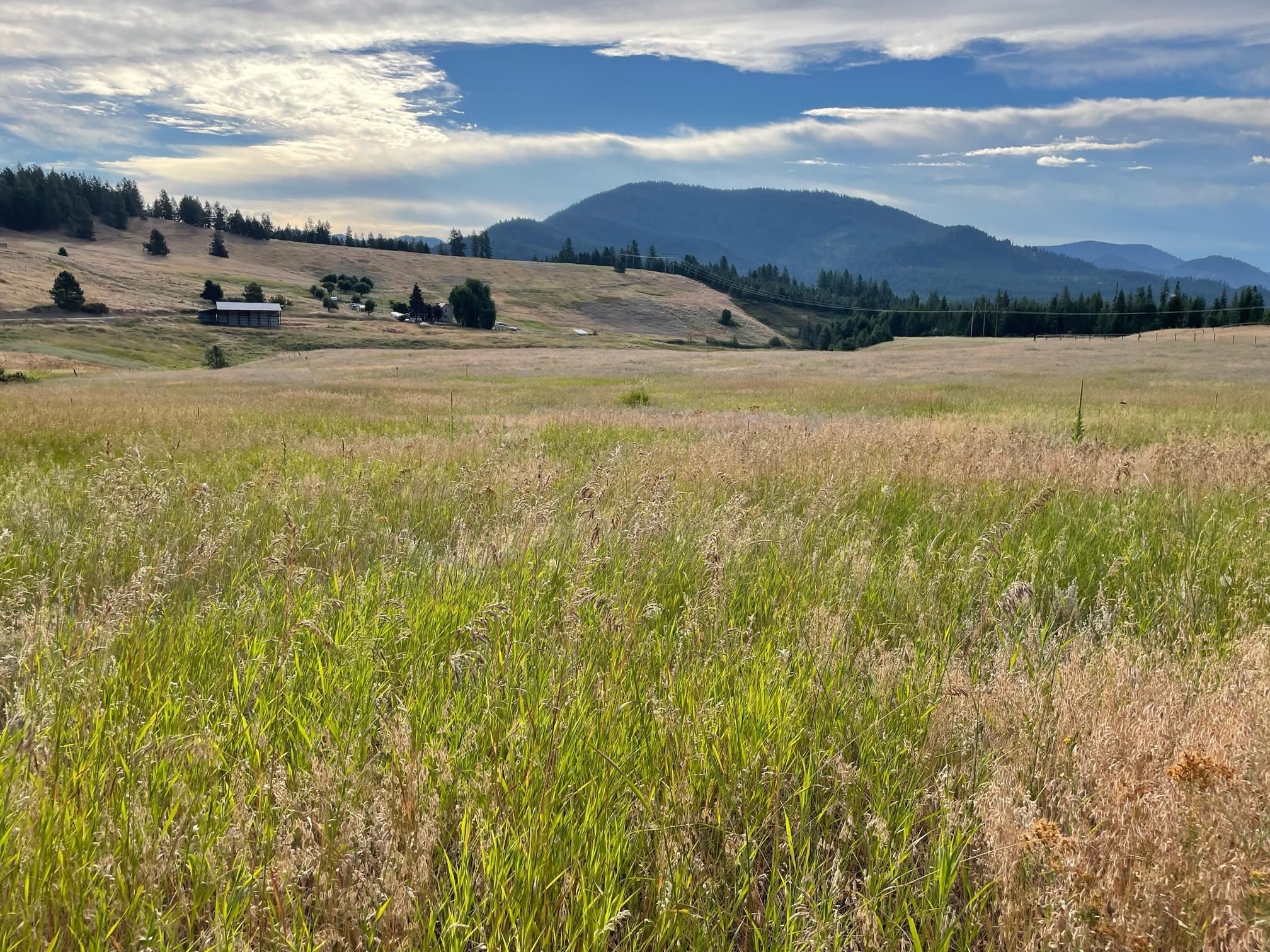 26-xx Highline Road Chewelah, WA 99109 - Photo 1 of 7 Gallery Image 1