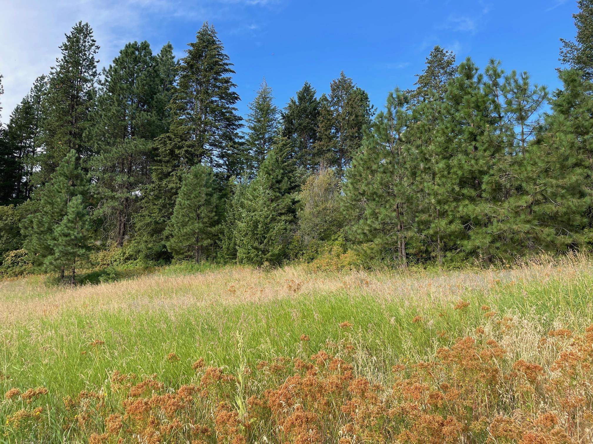 26-xx Highline Road Chewelah, WA 99109 - Photo 2 of 7 Gallery Image 2