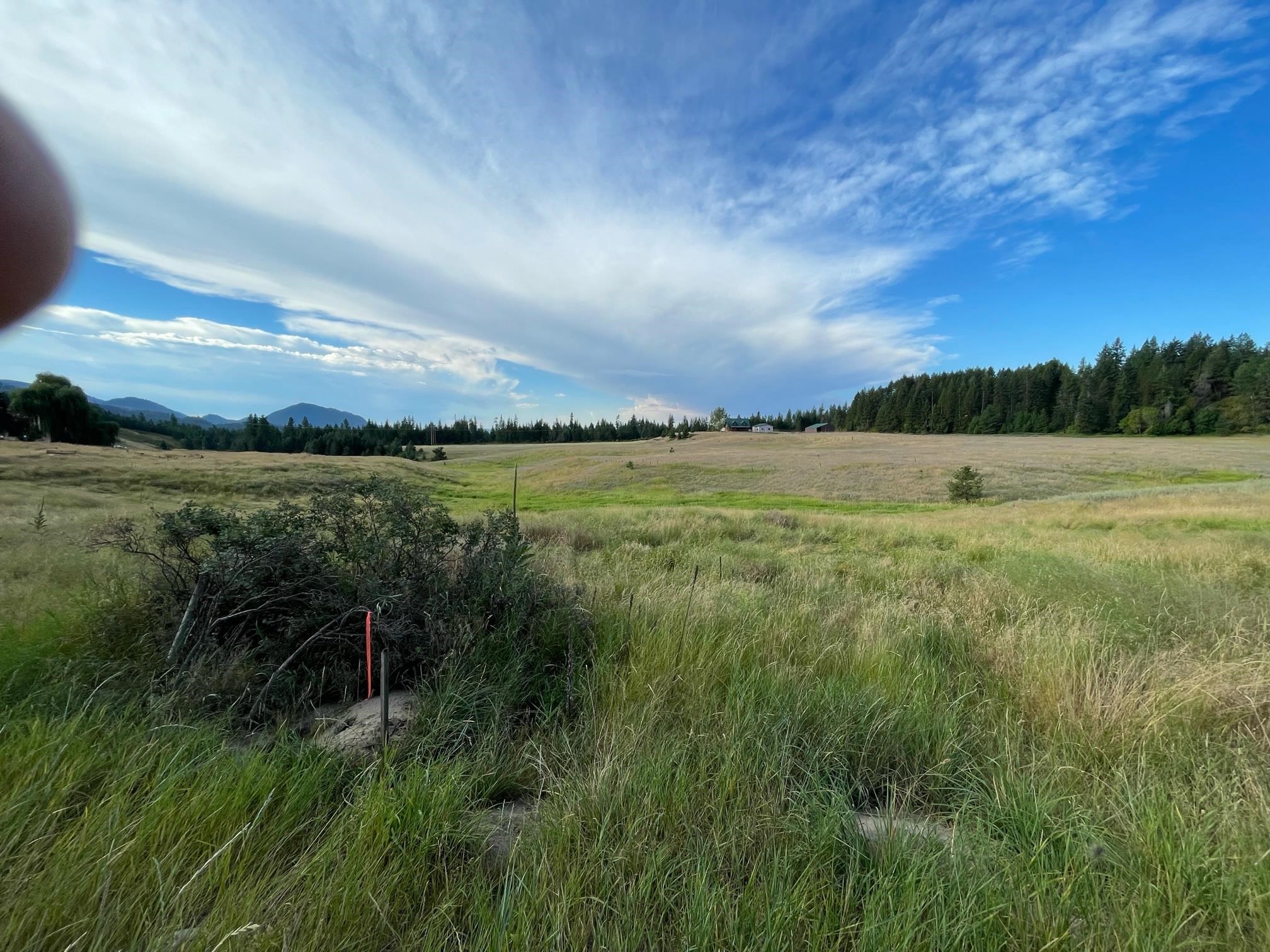 26-xx Highline Road Chewelah, WA 99109 - Photo 5 of 7 Gallery Image 5