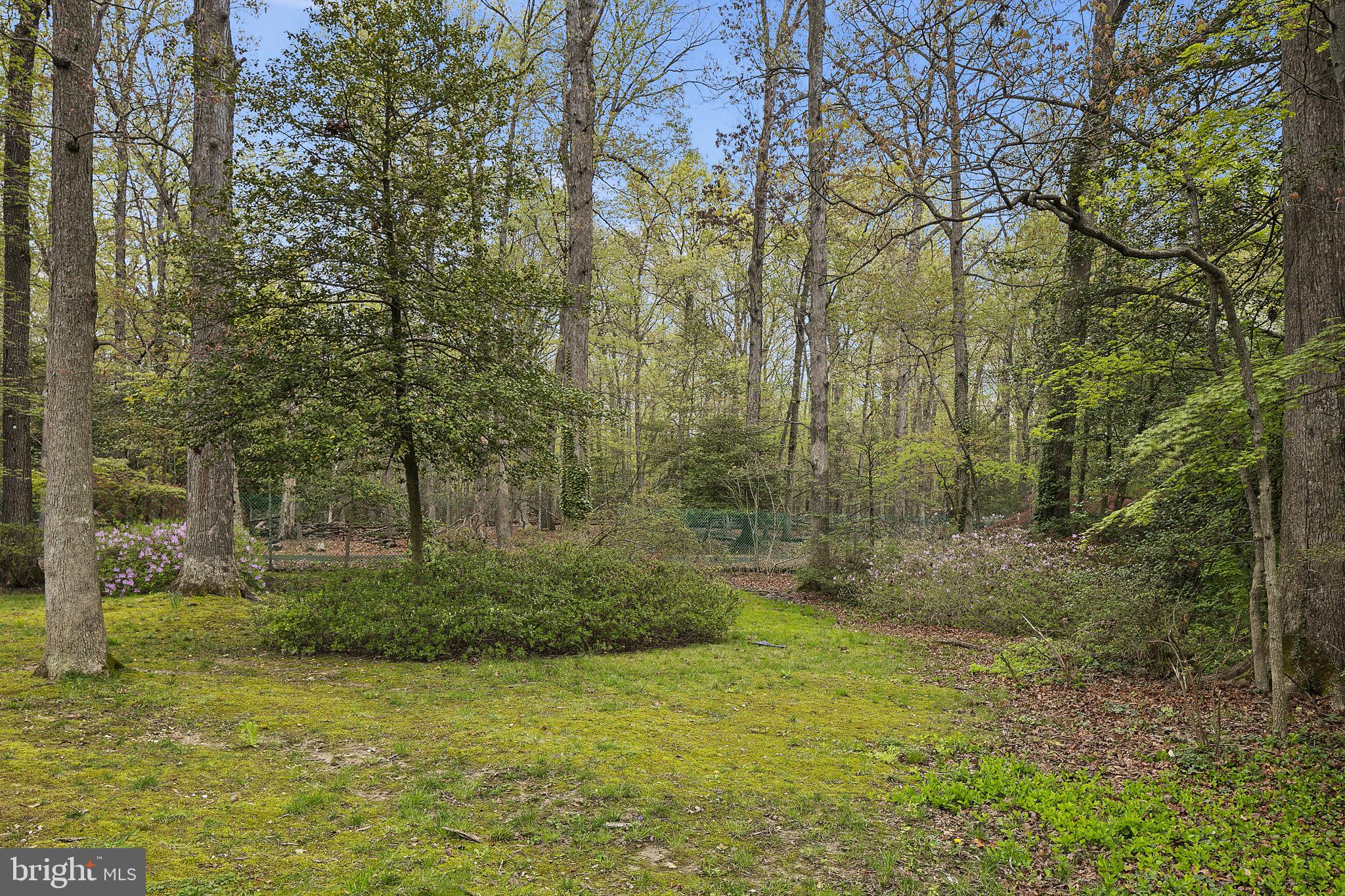 1800 Kimberly Road Silver Spring, MD 20903 - Photo 44 of 46