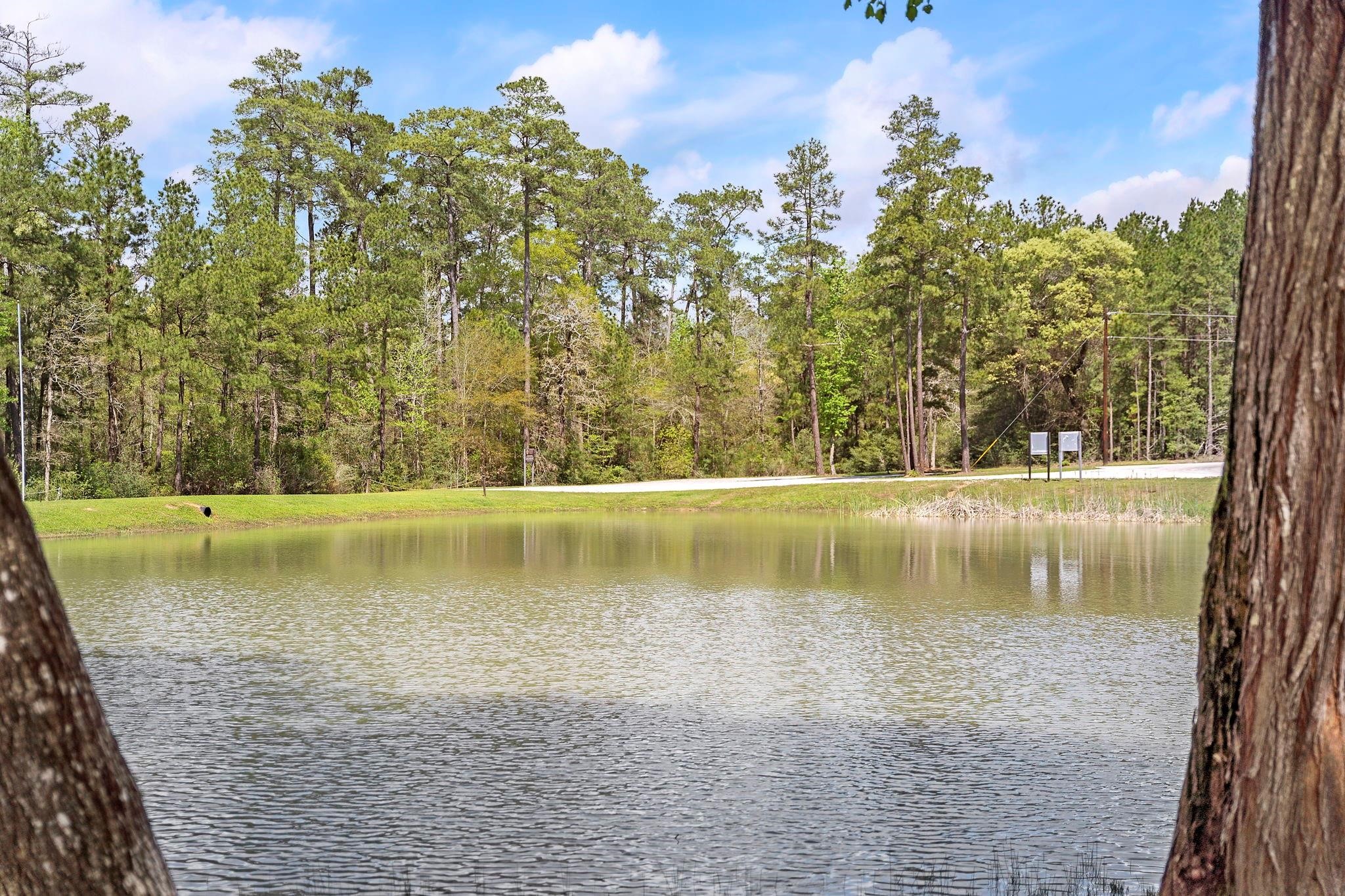 244 Remington Road Huntsville, TX 77340 - Photo 12 of 16