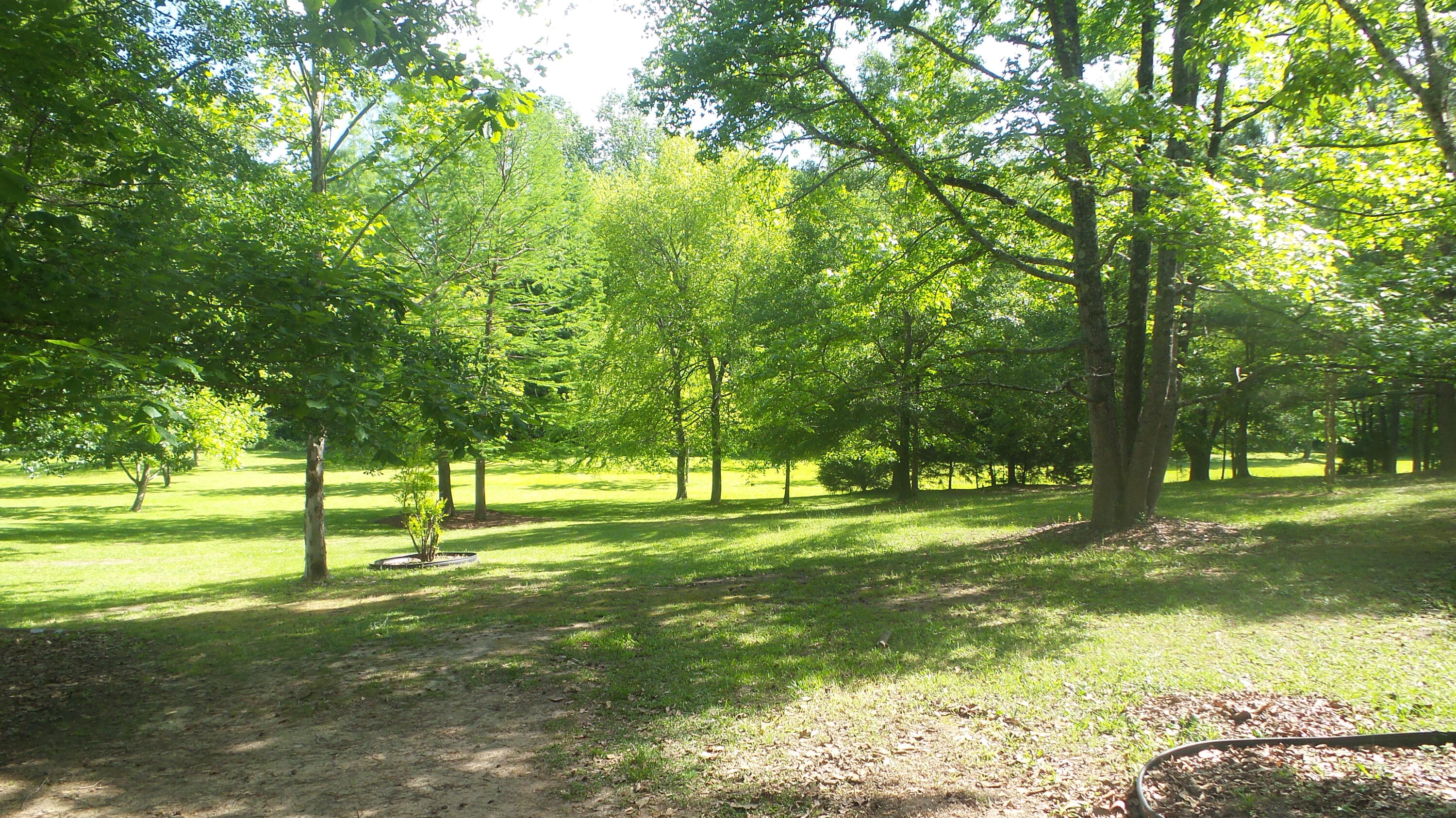 6424 Washington Road Appling, GA 30802 - Photo 4 of 21 20240429_161511