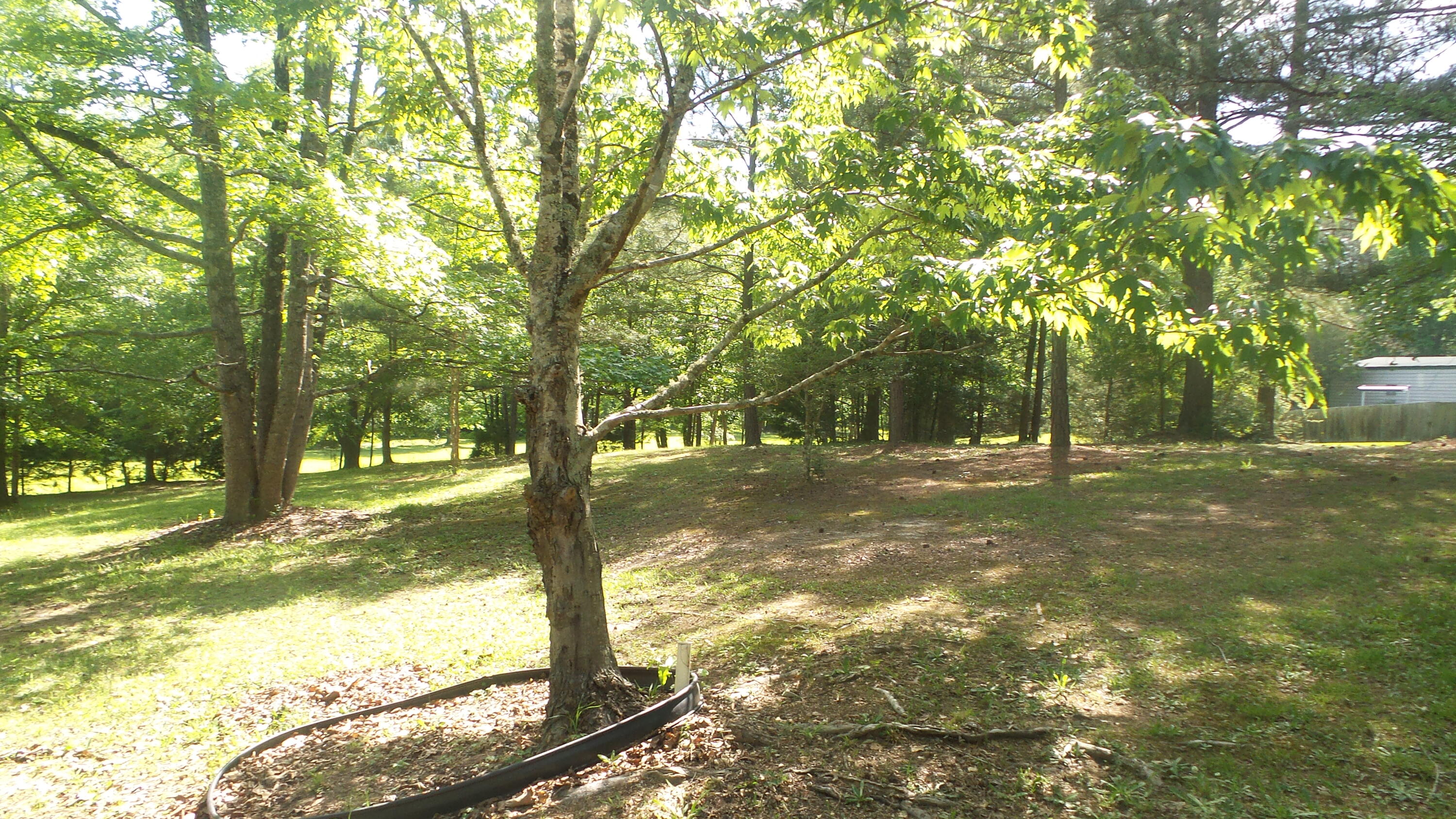 6424 Washington Road Appling, GA 30802 - Photo 5 of 21 20240429_161515
