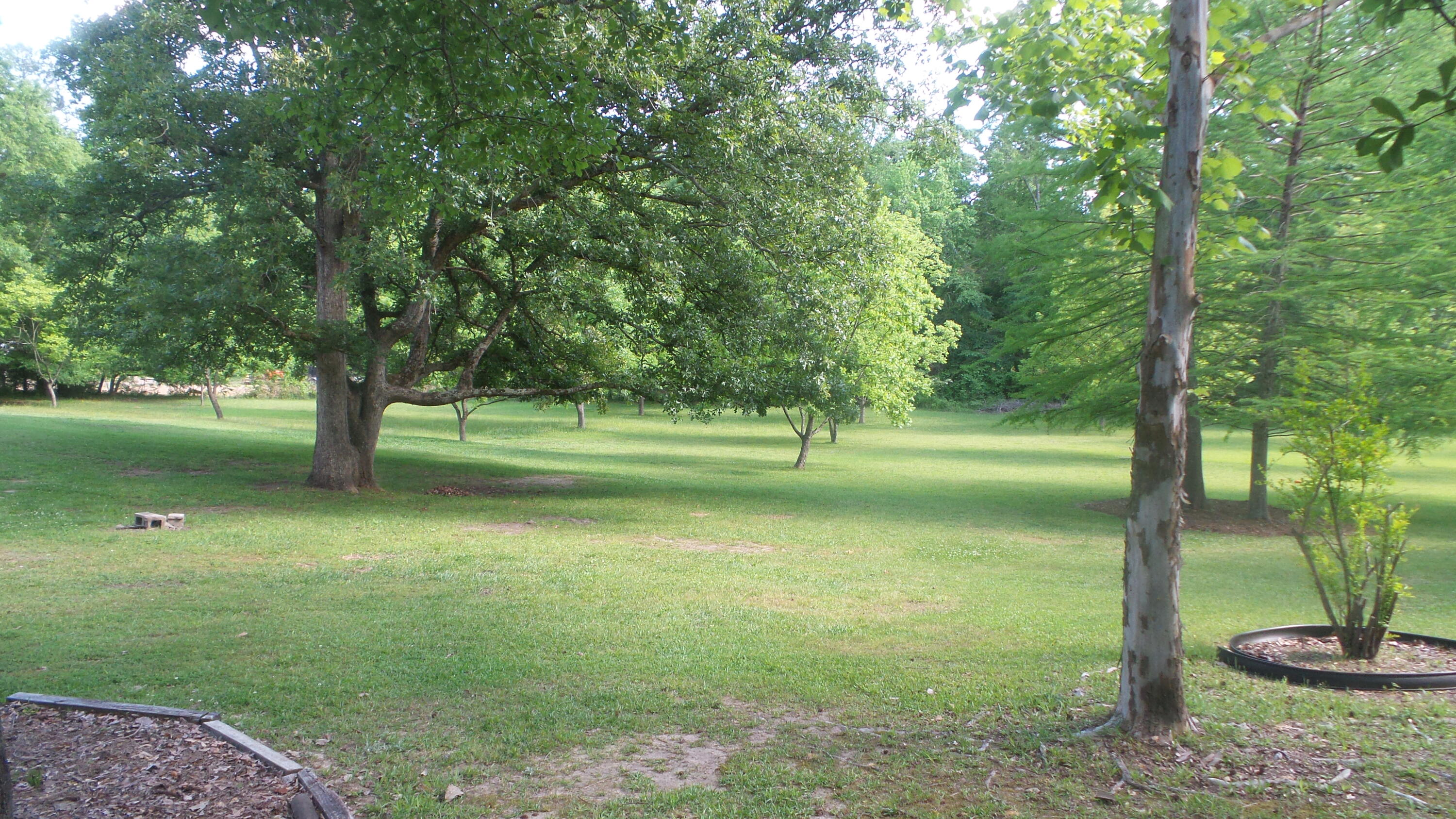 6424 Washington Road Appling, GA 30802 - Photo 7 of 21 20240429_161551