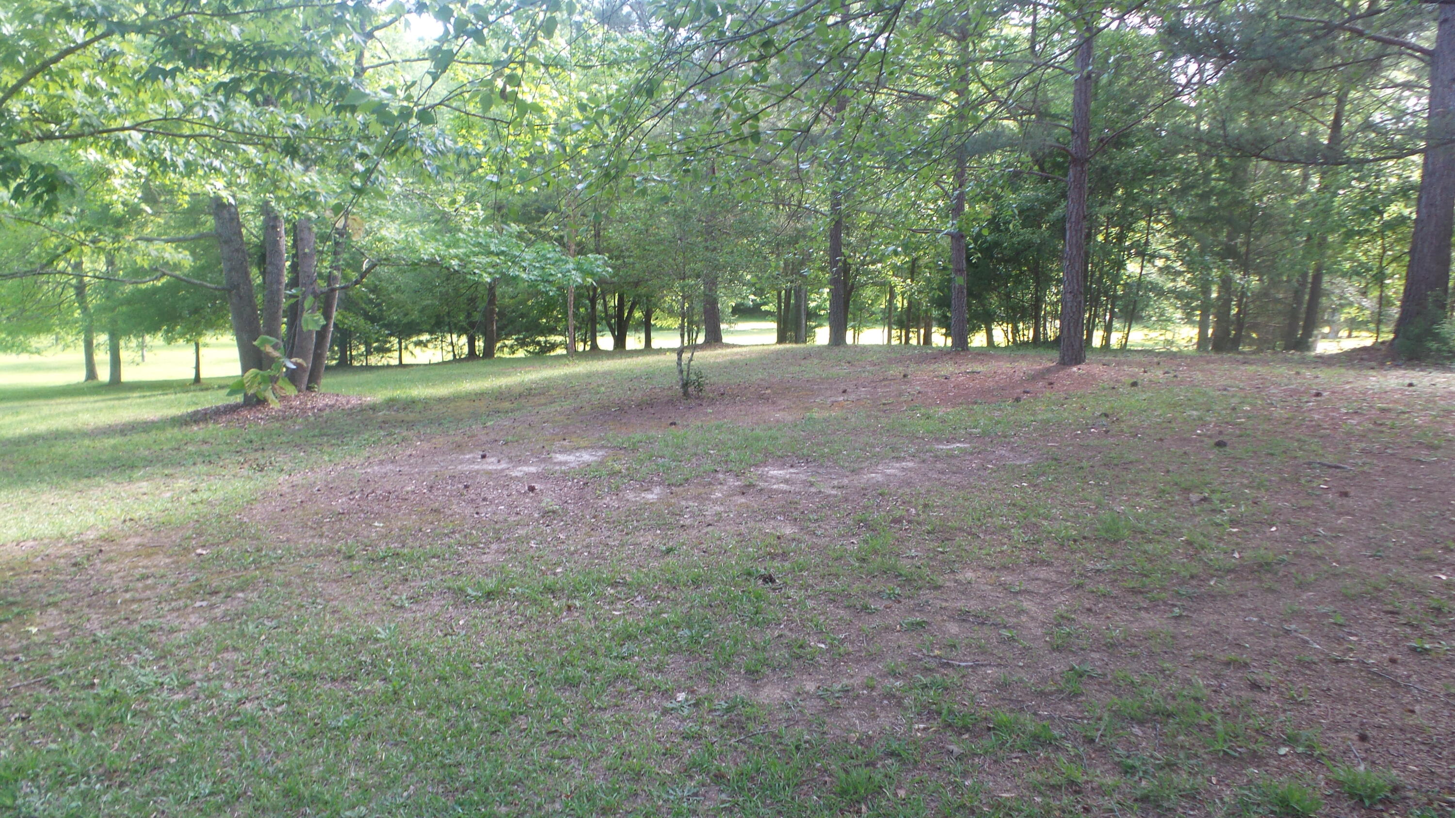 6424 Washington Road Appling, GA 30802 - Photo 8 of 21 20240429_161712