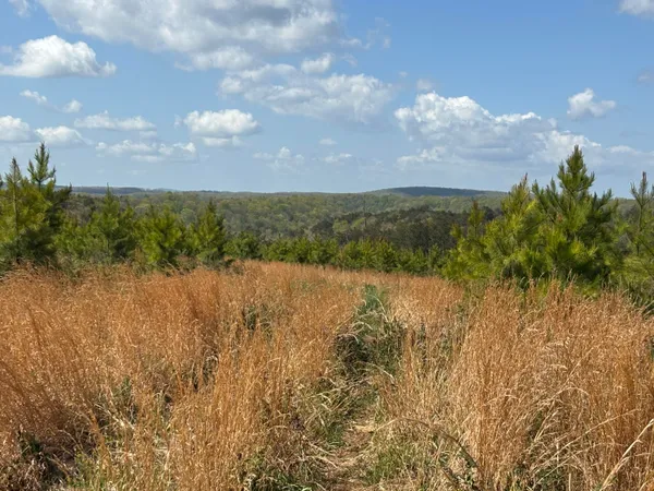 $379,500 | 7 Fredonia Road, Dunlap, TN 37327