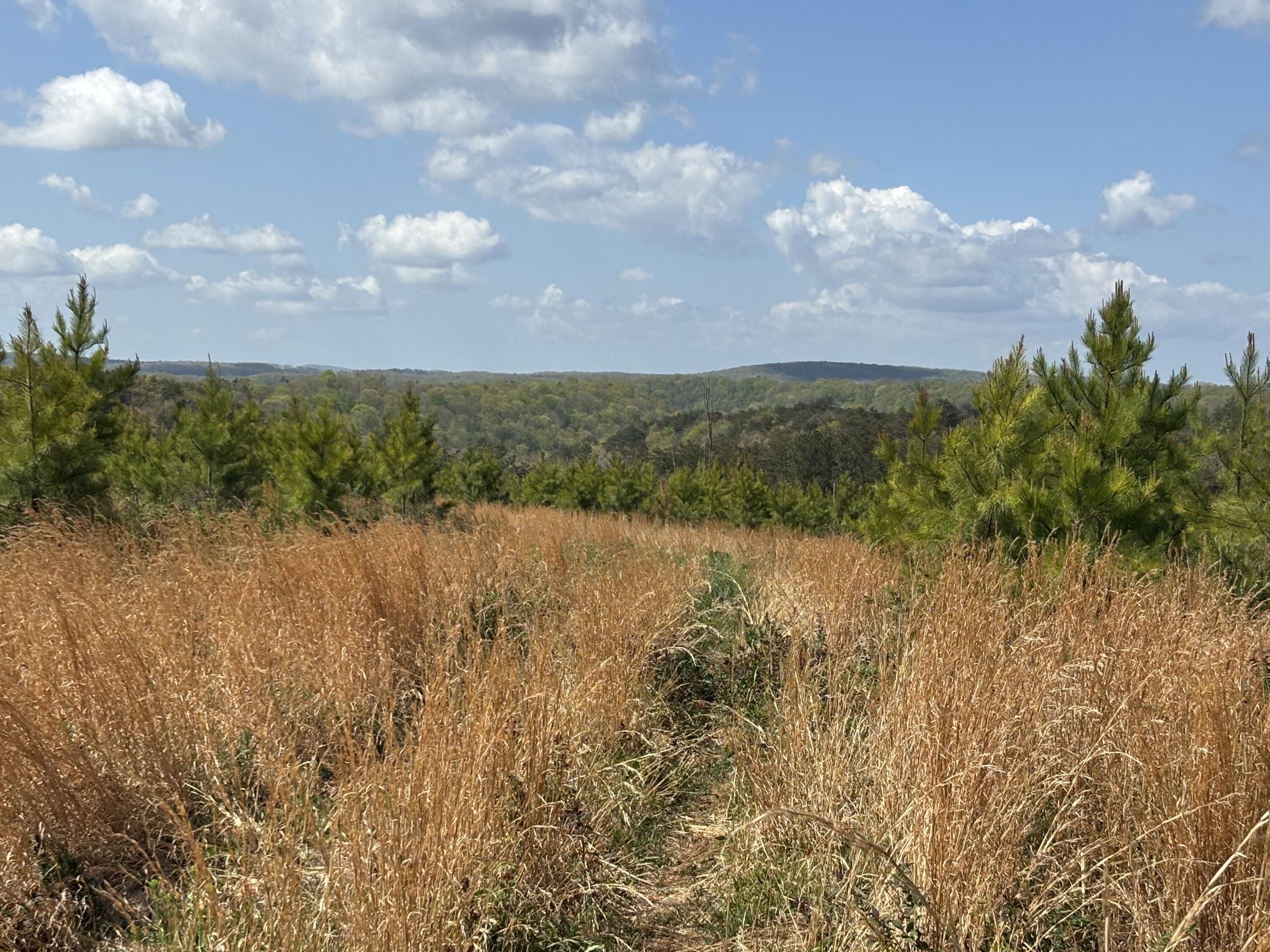 Photo Apr 16 2026, 11 34 33 AM