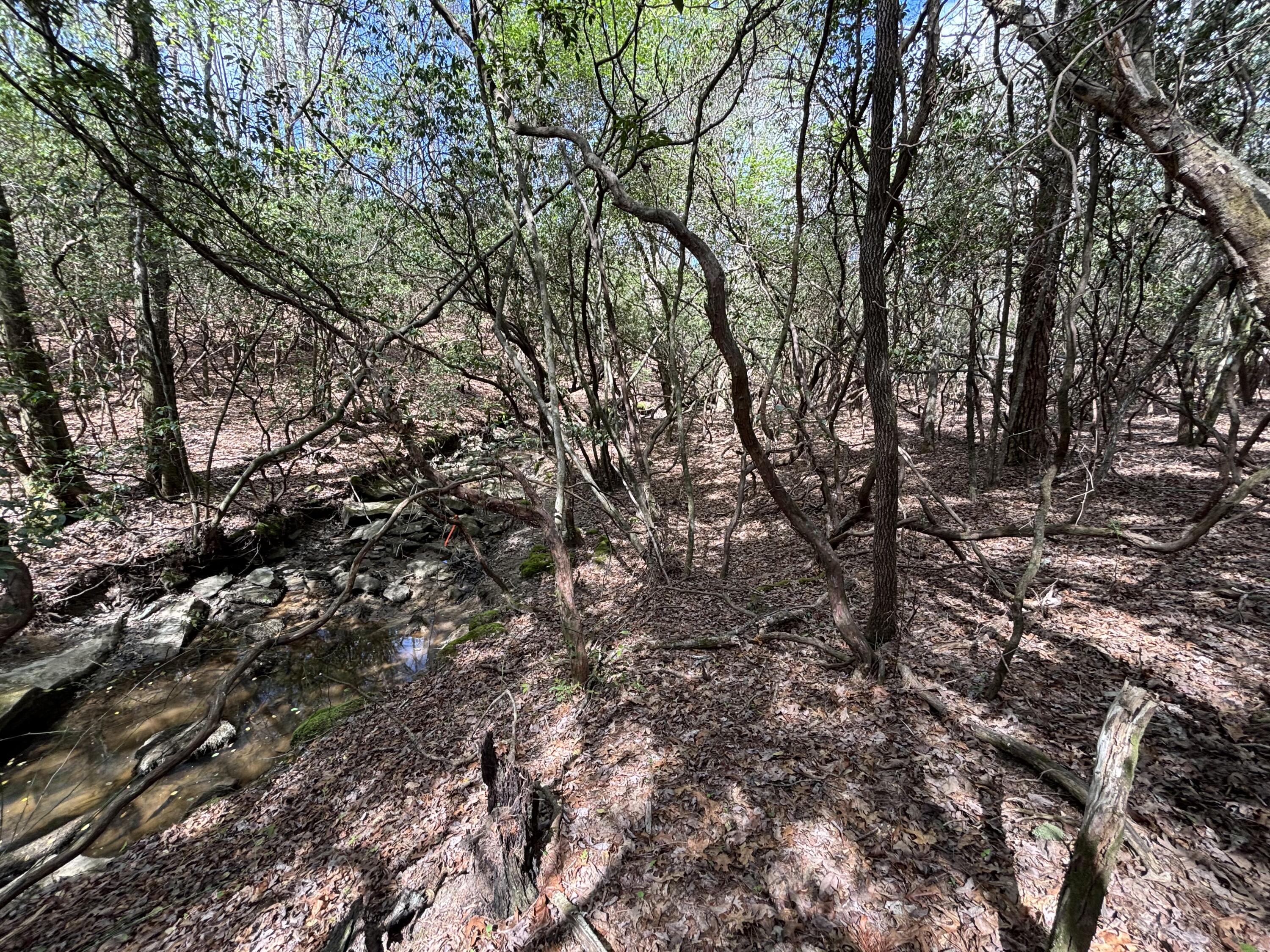 7 Fredonia Road Dunlap, TN 37327 - Photo 12 of 43 Photo Apr 16 2026, 11 42 14 AM