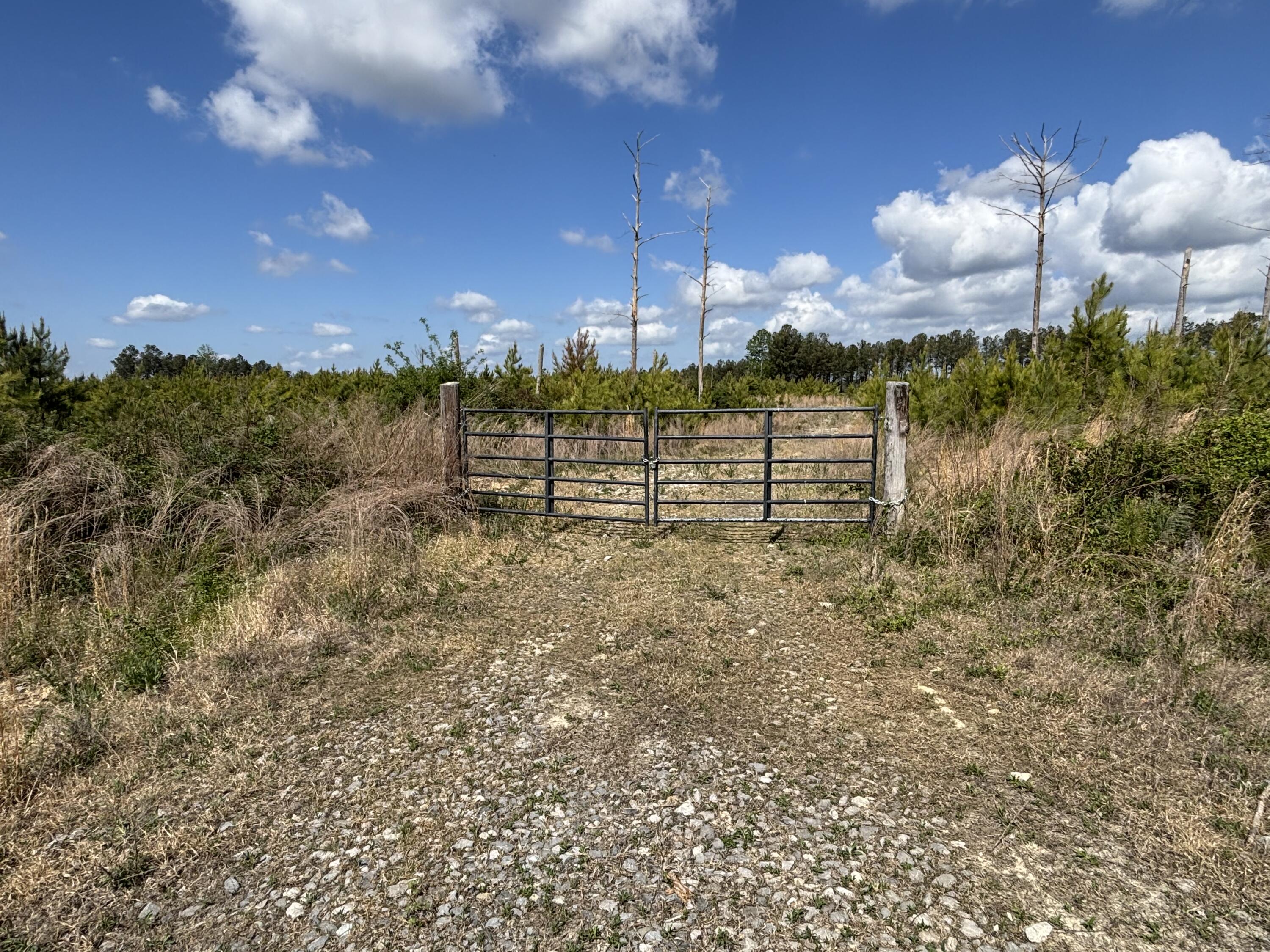 7 Fredonia Road Dunlap, TN 37327 - Photo 13 of 43 Photo Apr 16 2026, 11 28 22 AM