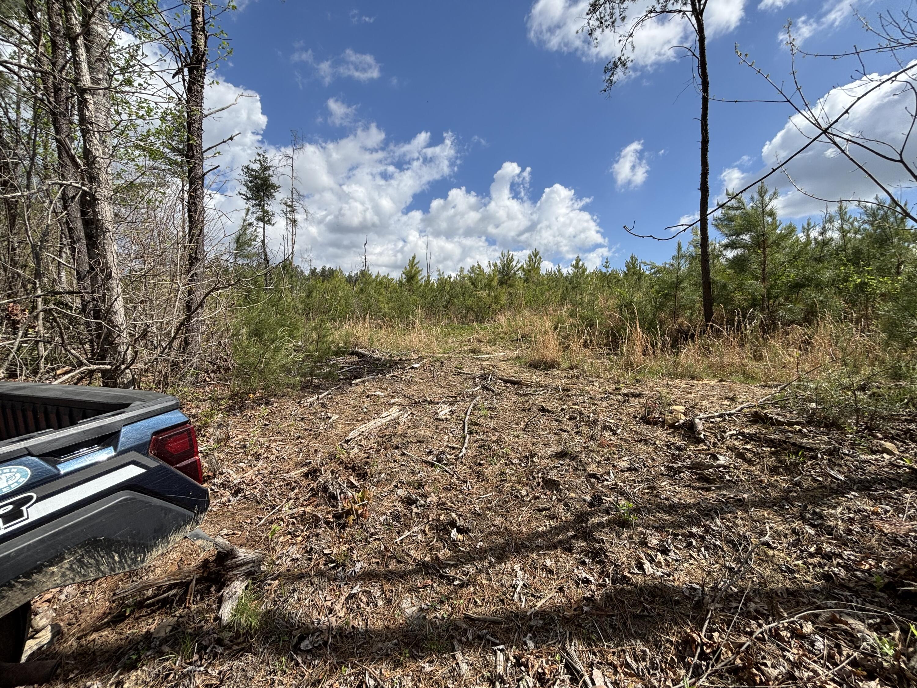 7 Fredonia Road Dunlap, TN 37327 - Photo 14 of 43 Photo Apr 16 2026, 11 43 43 AM