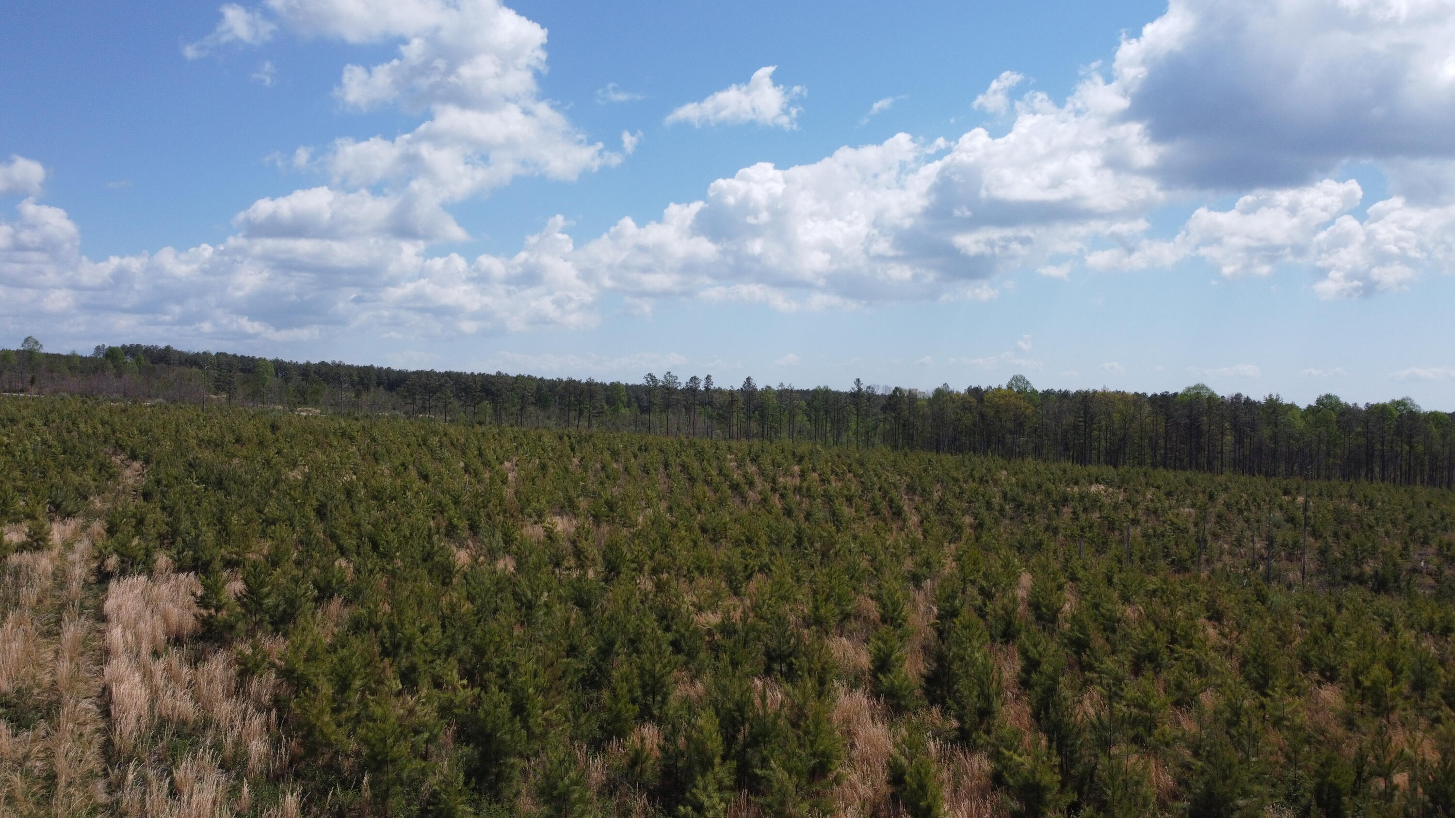 7 Fredonia Road Dunlap, TN 37327 - Photo 18 of 43 Photo Apr 16 2026, 12 02 33 PM