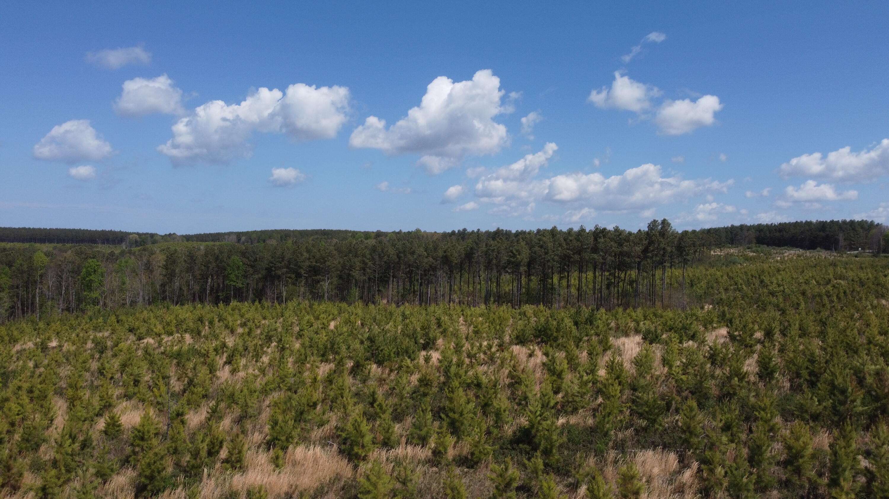 7 Fredonia Road Dunlap, TN 37327 - Photo 20 of 43 Photo Apr 16 2026, 12 02 36 PM