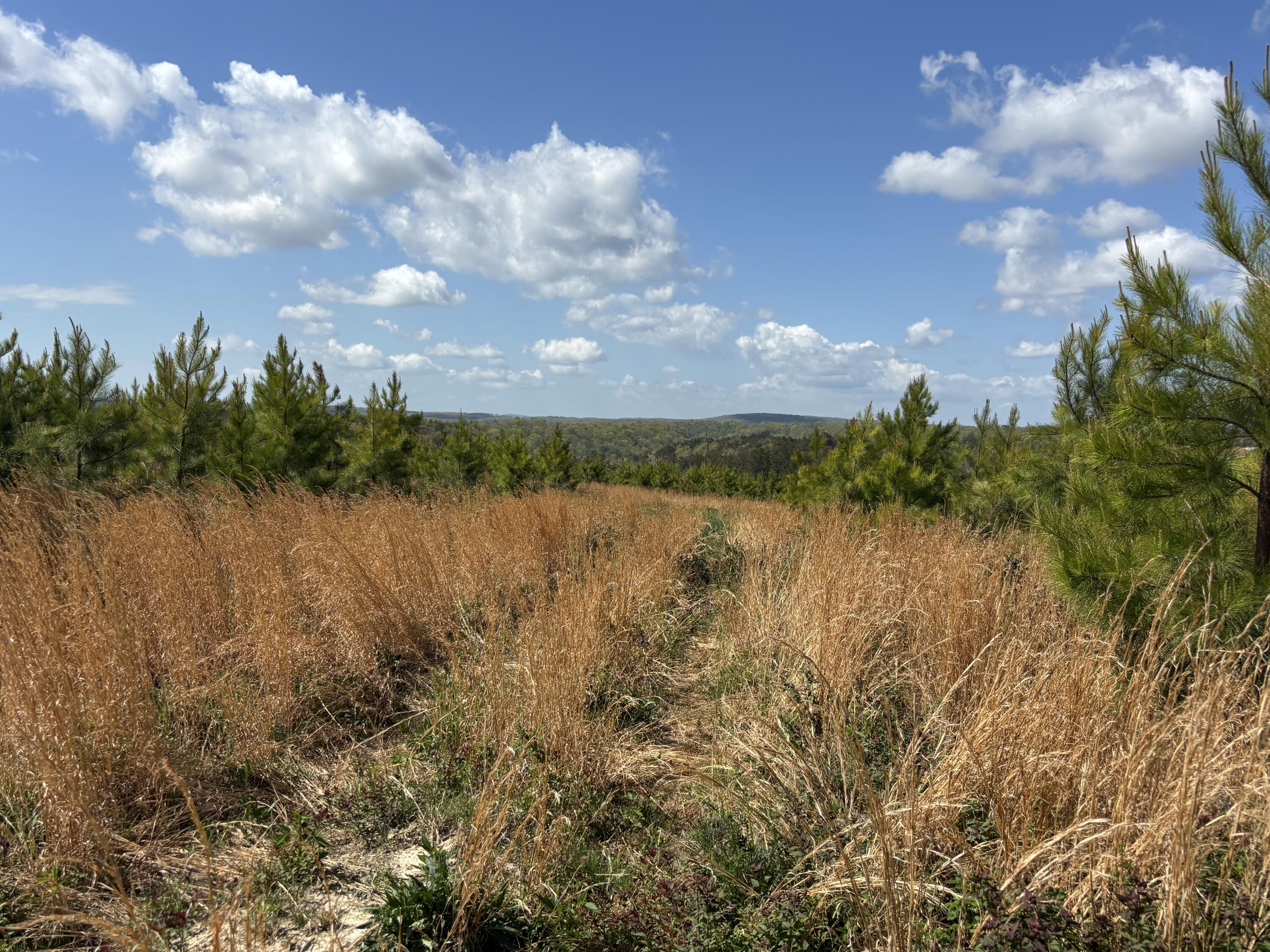 7 Fredonia Road Dunlap, TN 37327 - Photo 2 of 43 Photo Apr 16 2026, 11 34 36 AM