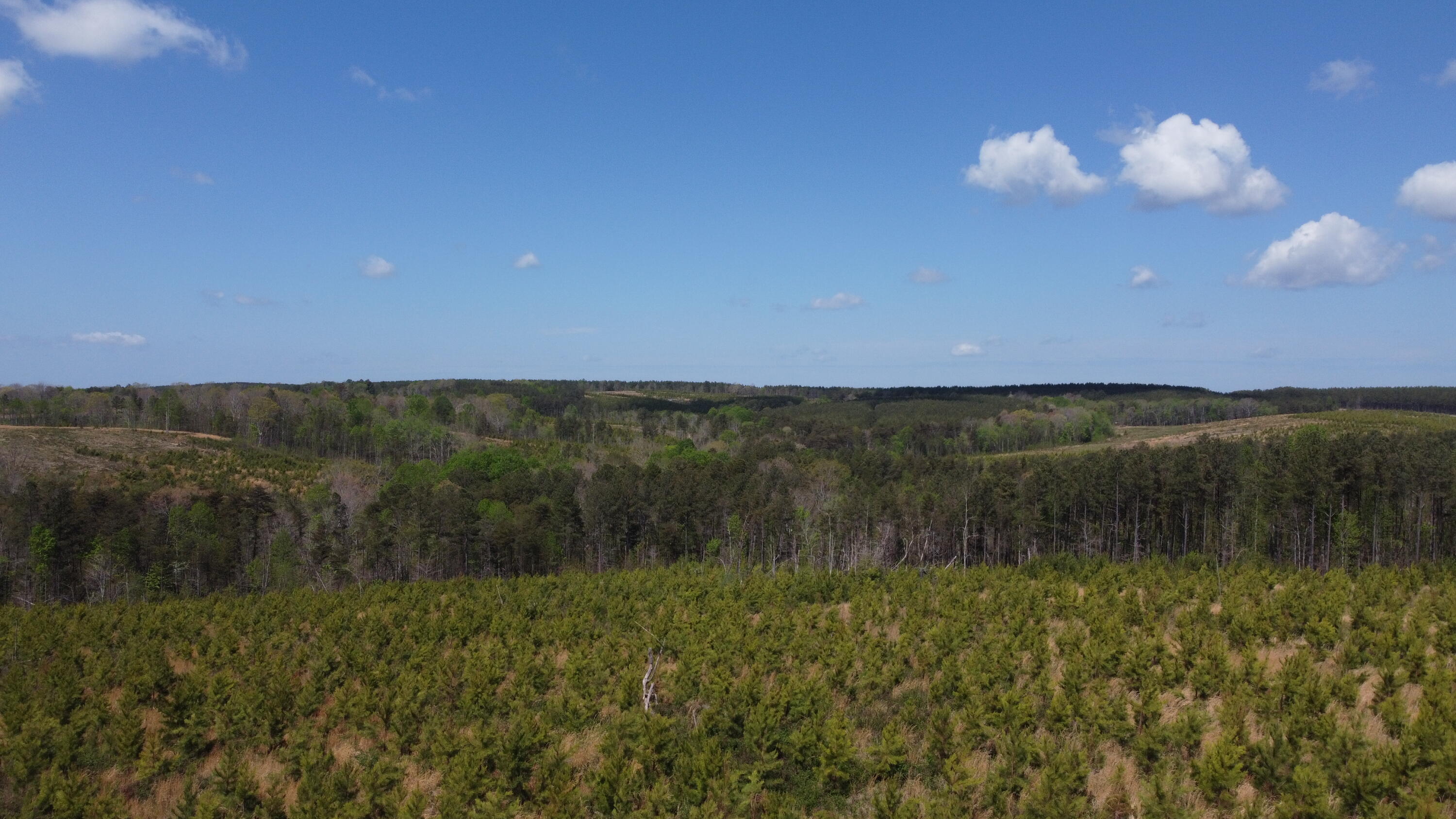 7 Fredonia Road Dunlap, TN 37327 - Photo 21 of 43 Photo Apr 16 2026, 12 02 39 PM