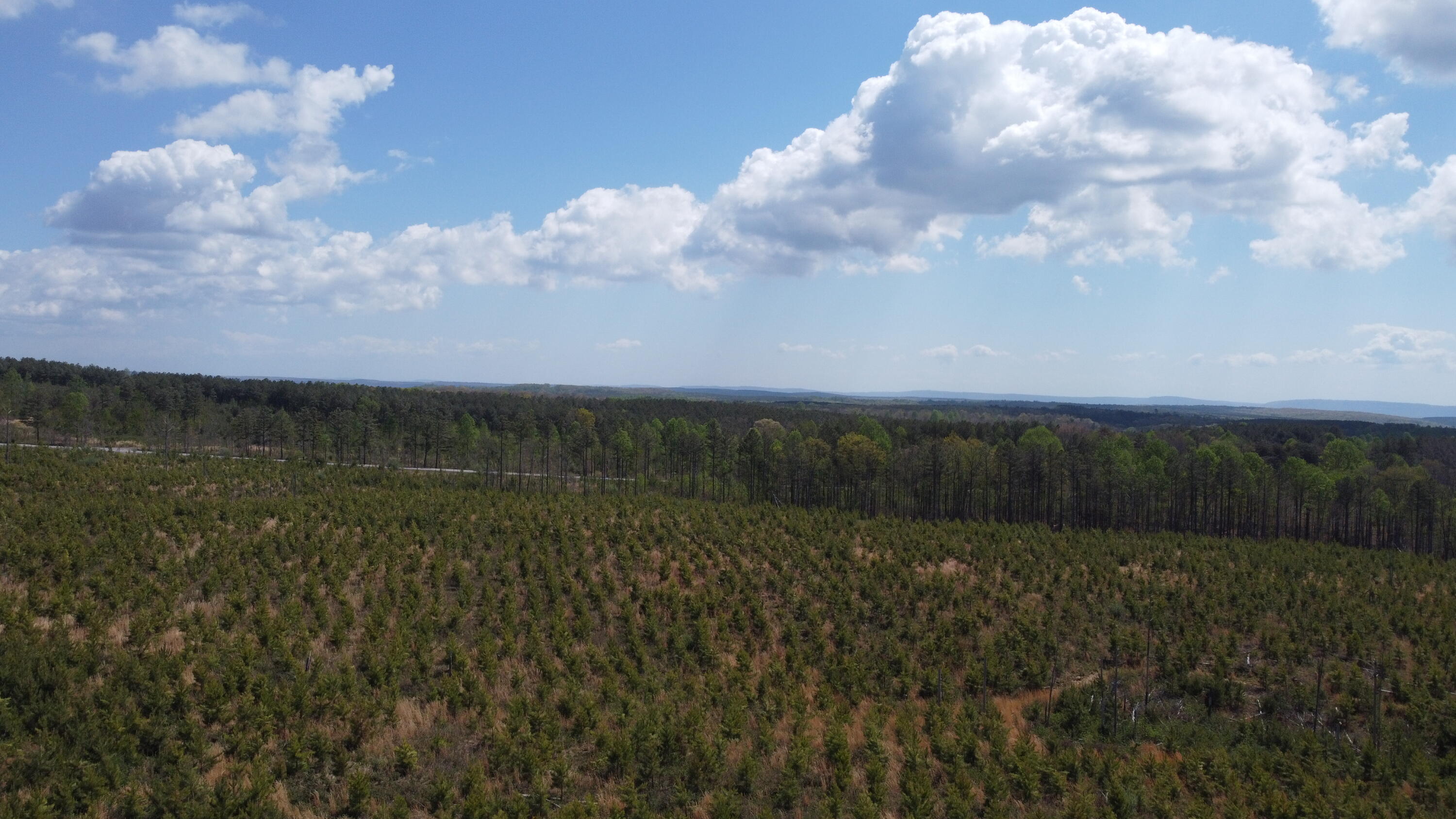7 Fredonia Road Dunlap, TN 37327 - Photo 29 of 43 Photo Apr 16 2026, 12 05 07 PM