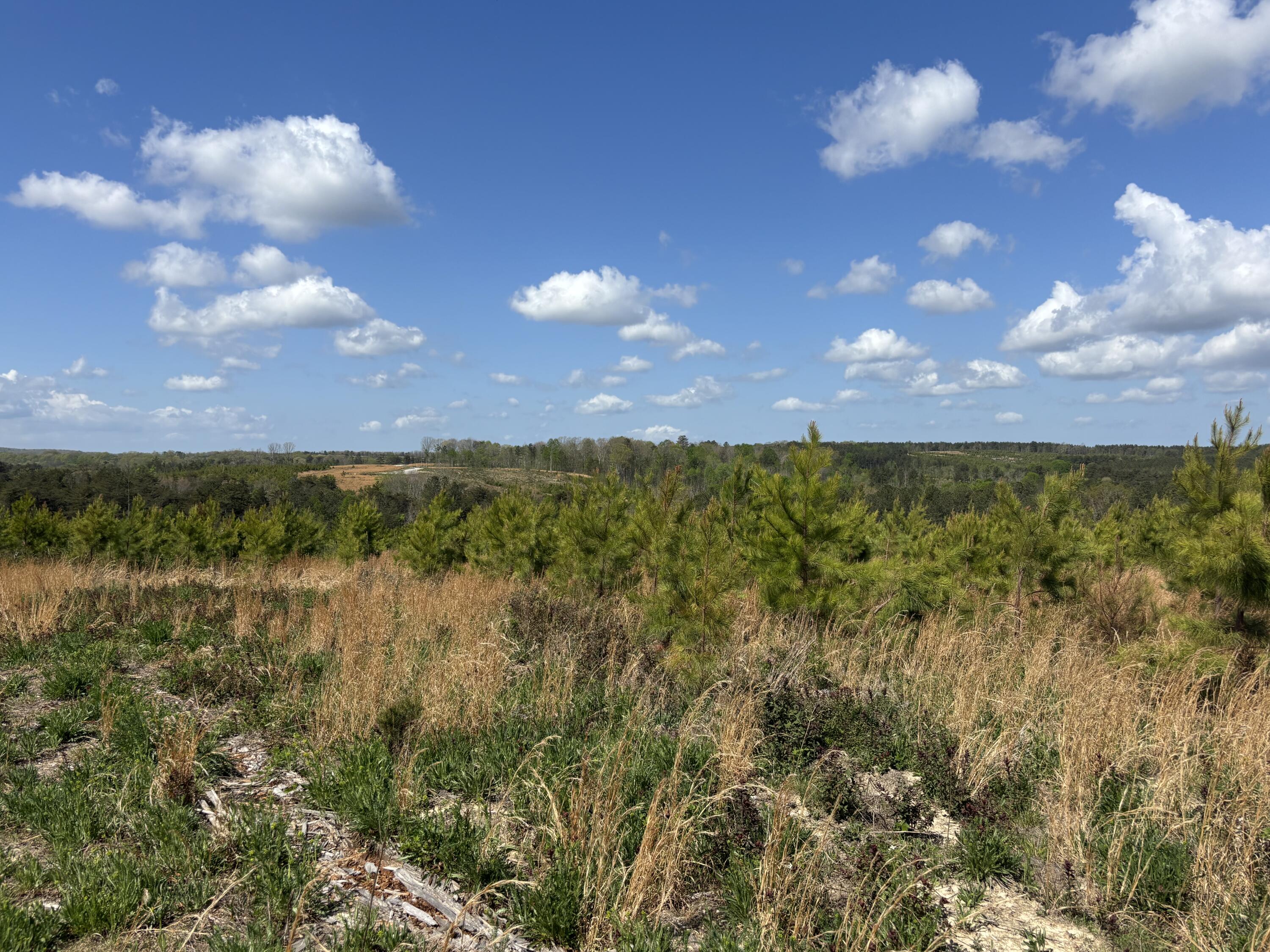 7 Fredonia Road Dunlap, TN 37327 - Photo 3 of 43 Photo Apr 16 2026, 11 35 18 AM