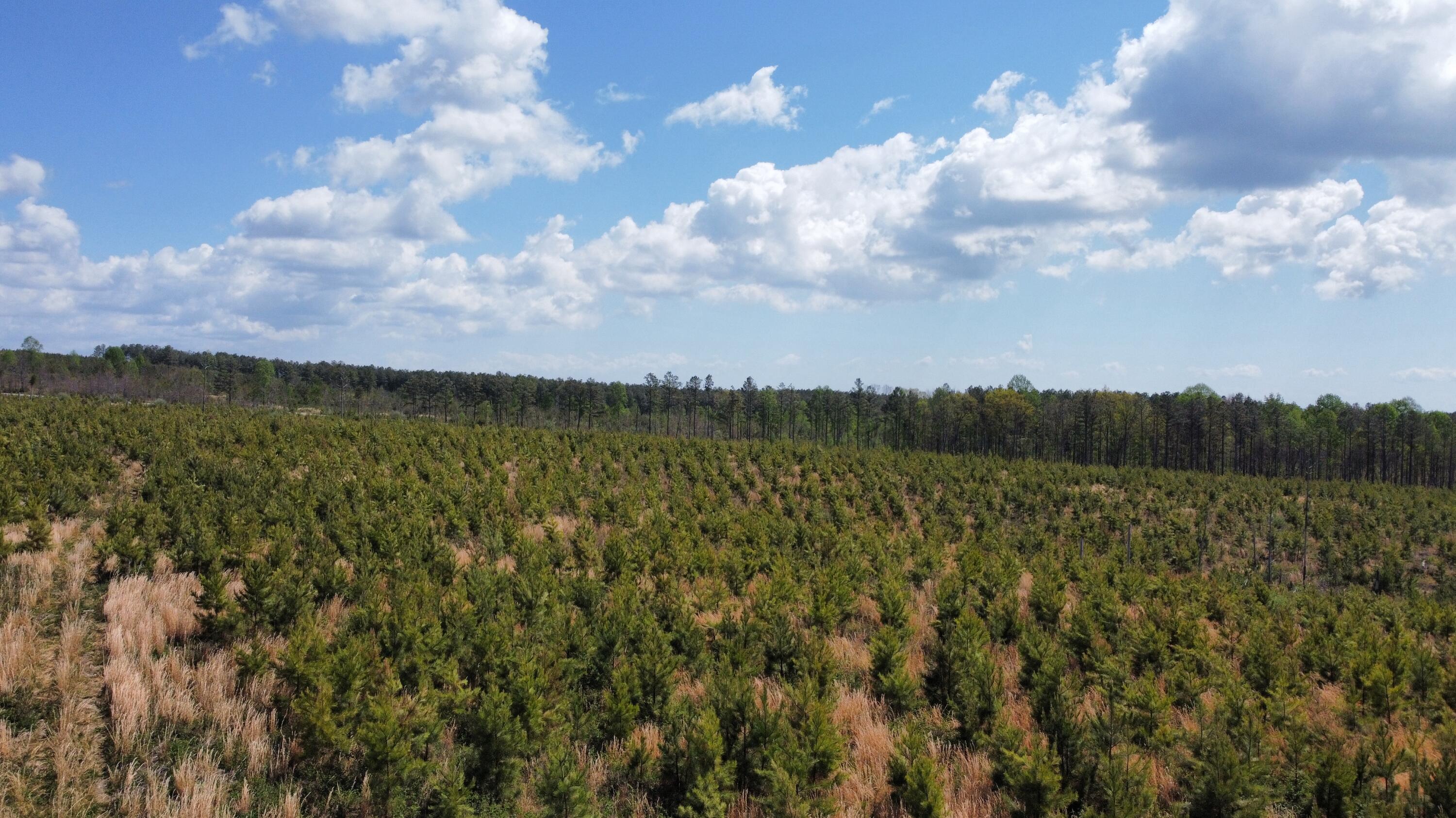 7 Fredonia Road Dunlap, TN 37327 - Photo 31 of 43 Photo Apr 17 2026, 11 39 10 AM (1)