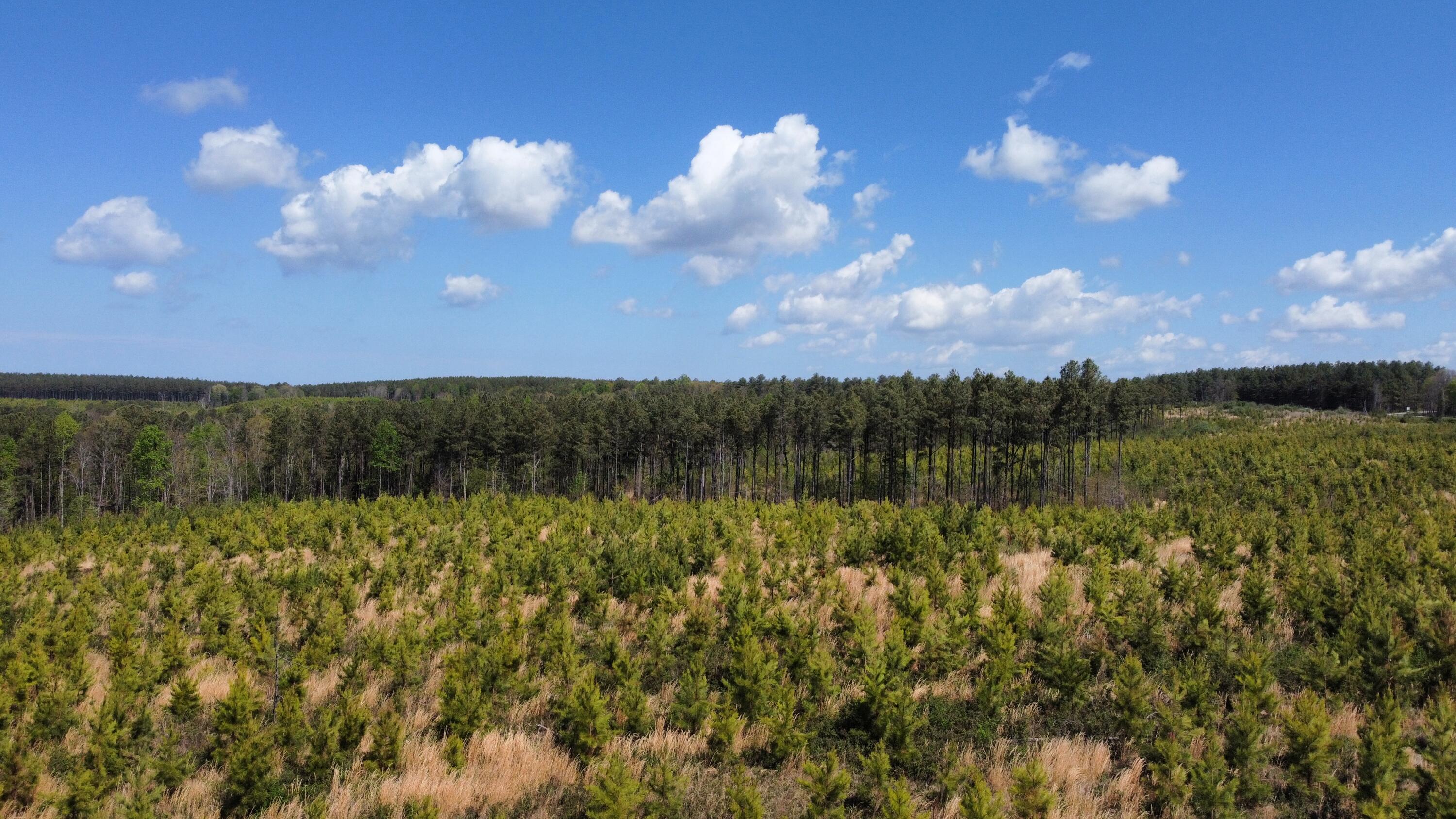 7 Fredonia Road Dunlap, TN 37327 - Photo 32 of 43 Photo Apr 17 2026, 11 39 10 AM (3)