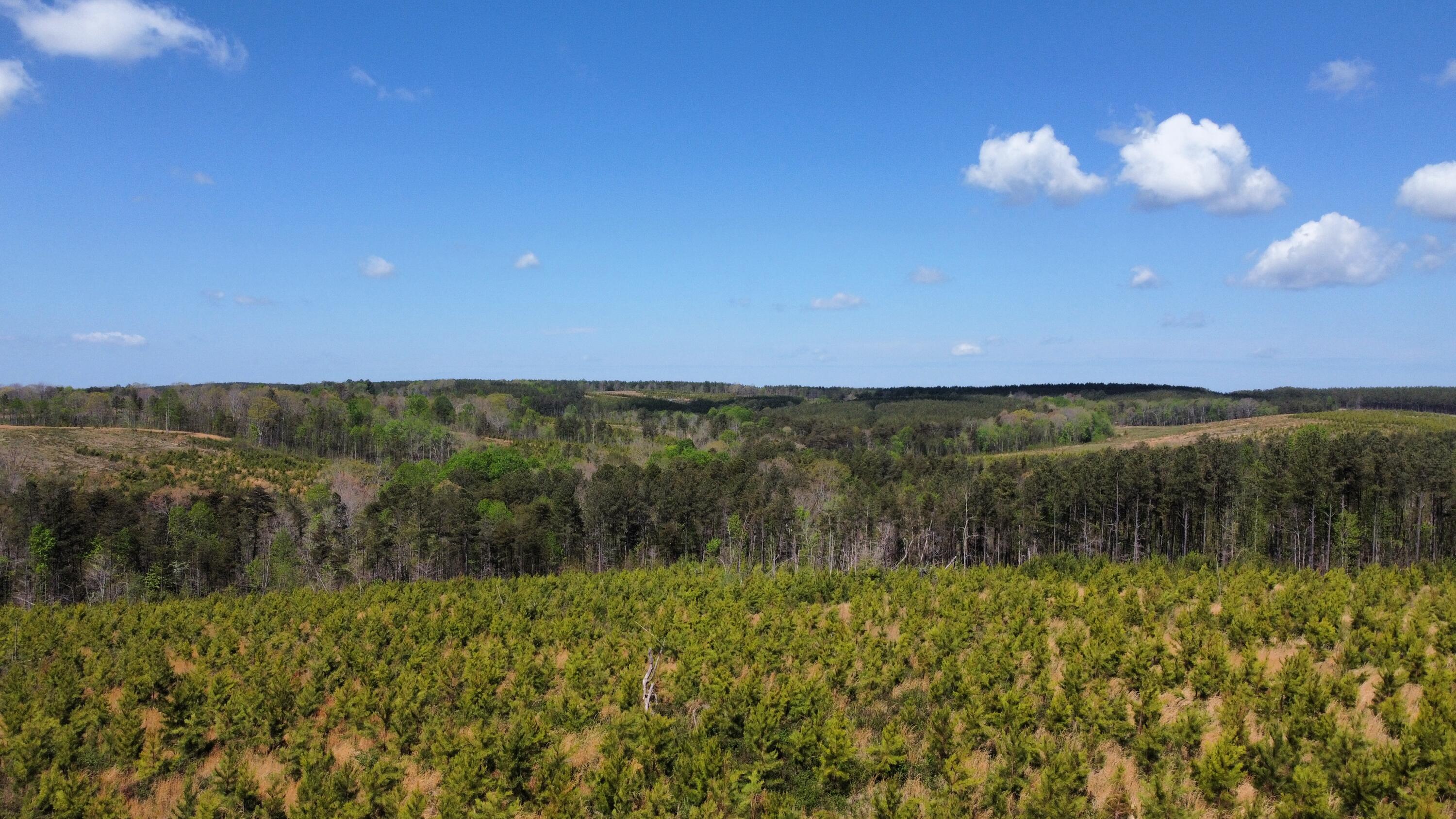 7 Fredonia Road Dunlap, TN 37327 - Photo 33 of 43 Photo Apr 17 2026, 11 39 10 AM (4) (1)