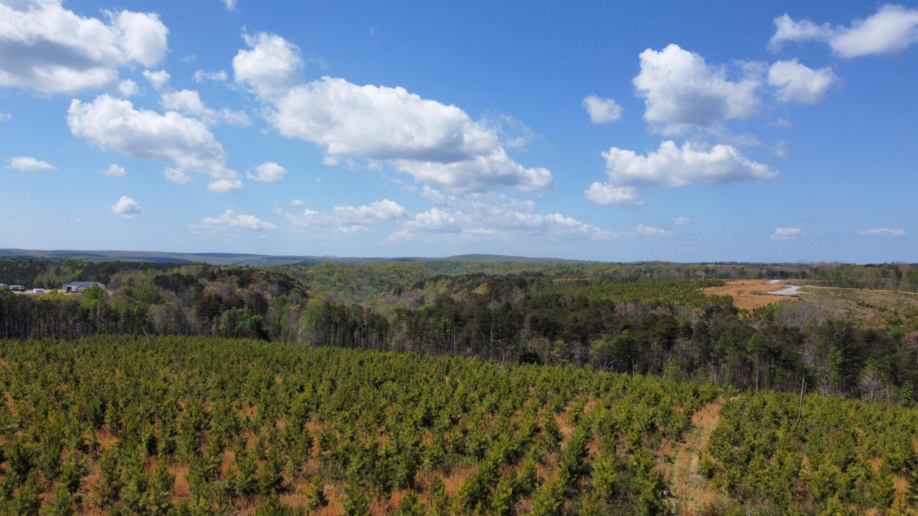 7 Fredonia Road Dunlap, TN 37327 - Photo 34 of 43 Photo Apr 17 2026, 11 39 10 AM (5)