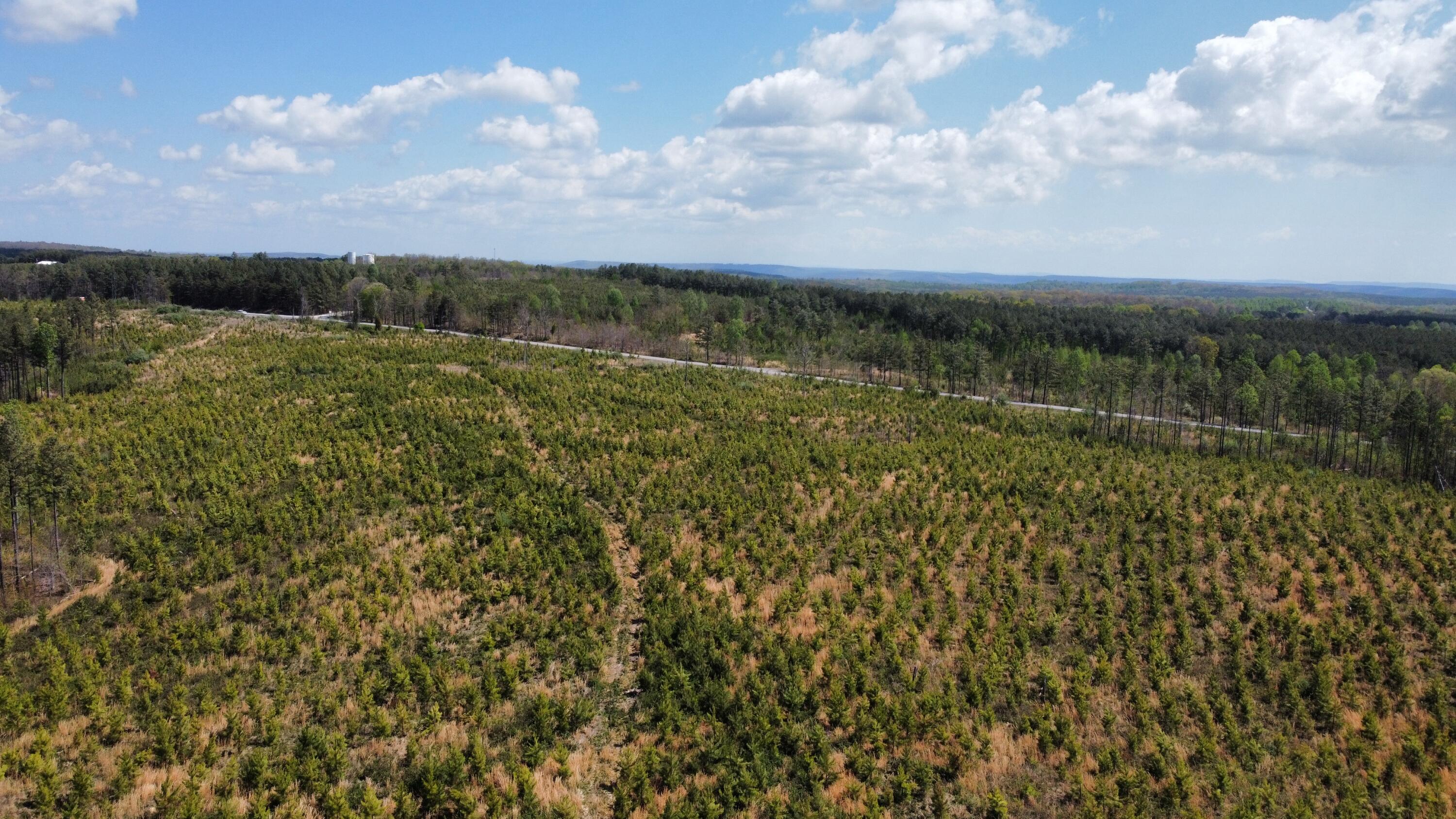 7 Fredonia Road Dunlap, TN 37327 - Photo 37 of 43 Photo Apr 17 2026, 11 39 10 AM (9)