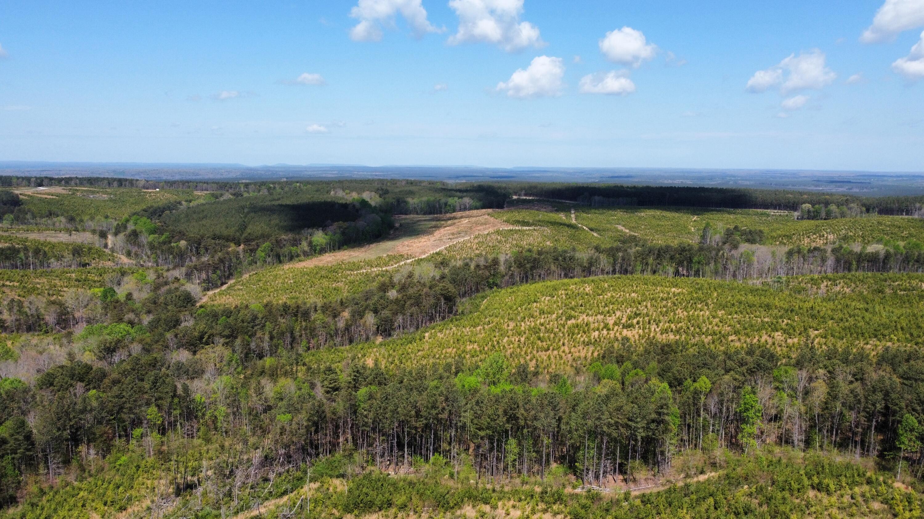 7 Fredonia Road Dunlap, TN 37327 - Photo 38 of 43 Photo Apr 17 2026, 11 39 10 AM (10)