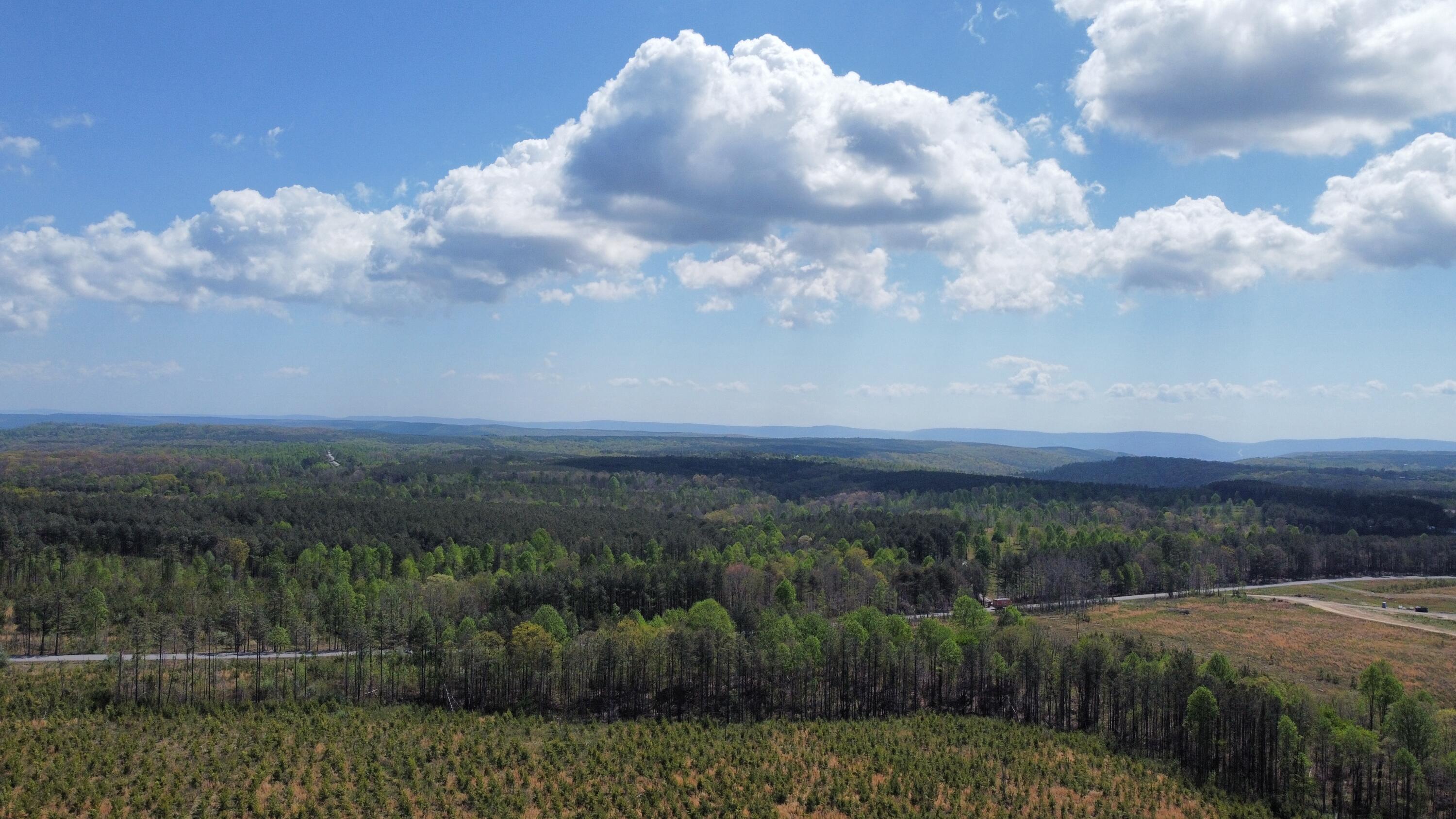 7 Fredonia Road Dunlap, TN 37327 - Photo 40 of 43 Photo Apr 17 2026, 11 39 10 AM (12)