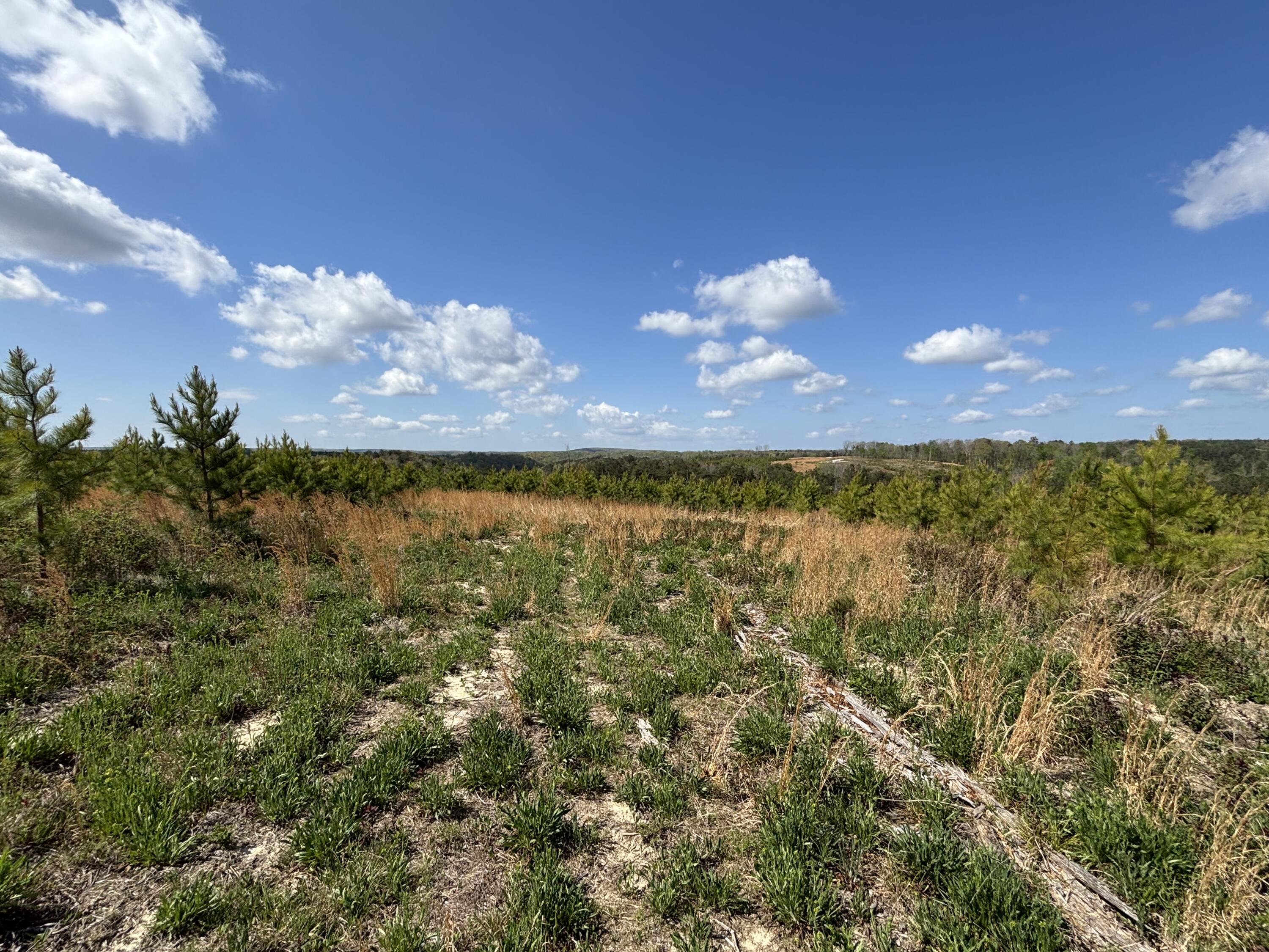 7 Fredonia Road Dunlap, TN 37327 - Photo 4 of 43 Photo Apr 16 2026, 11 35 21 AM