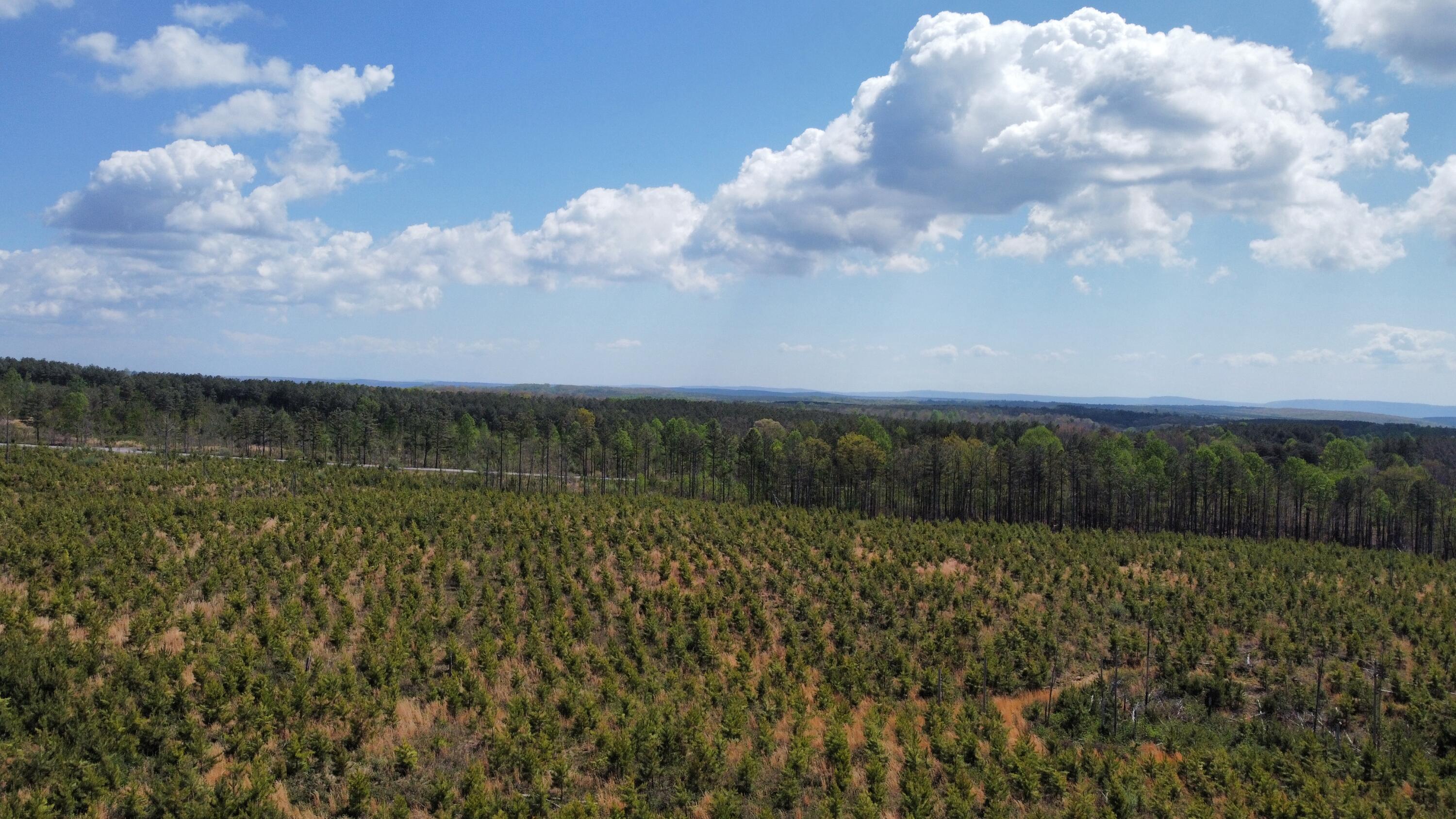 7 Fredonia Road Dunlap, TN 37327 - Photo 42 of 43 Photo Apr 17 2026, 11 39 10 AM (14)