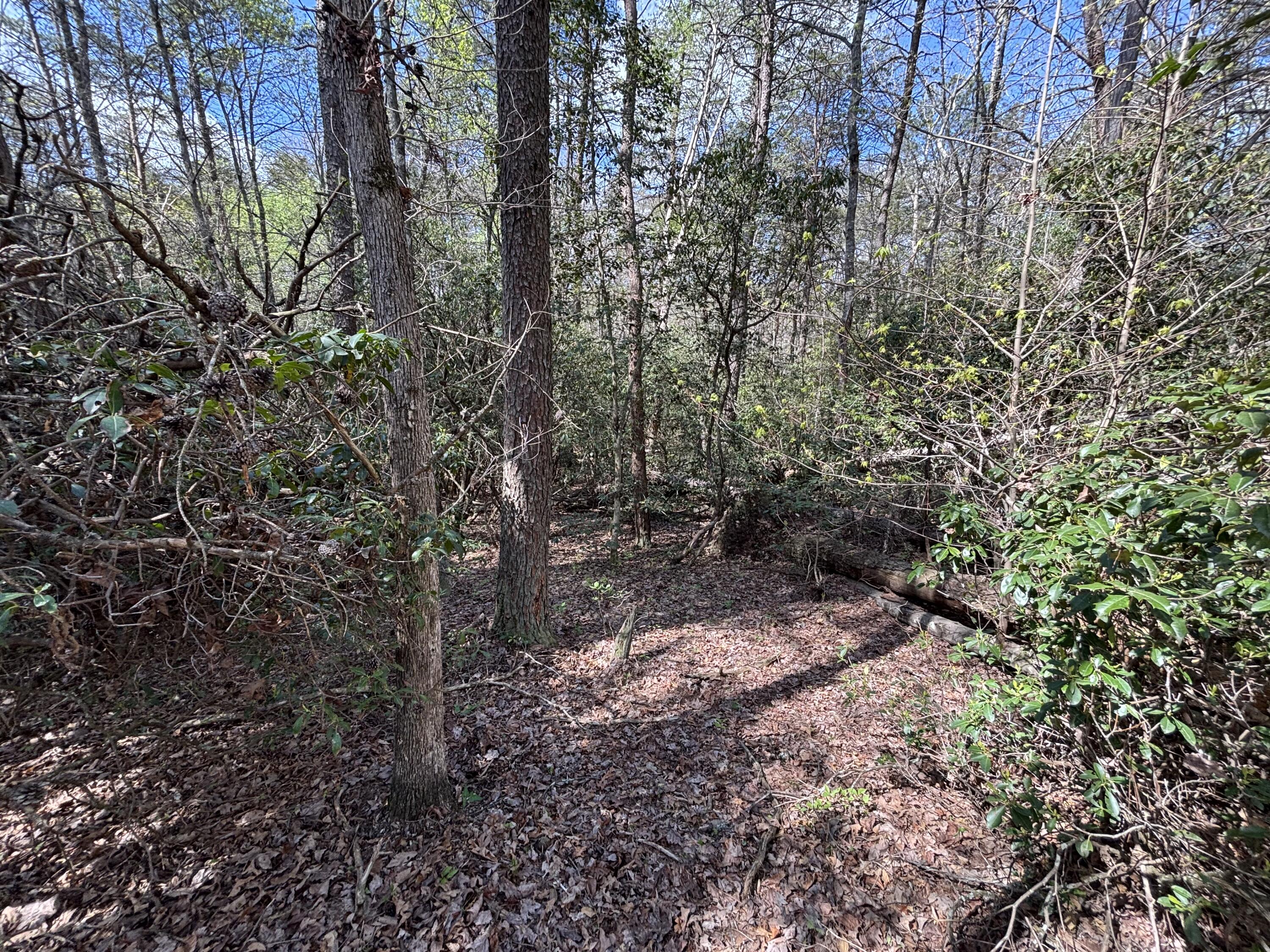 7 Fredonia Road Dunlap, TN 37327 - Photo 5 of 43 Photo Apr 16 2026, 11 38 21 AM