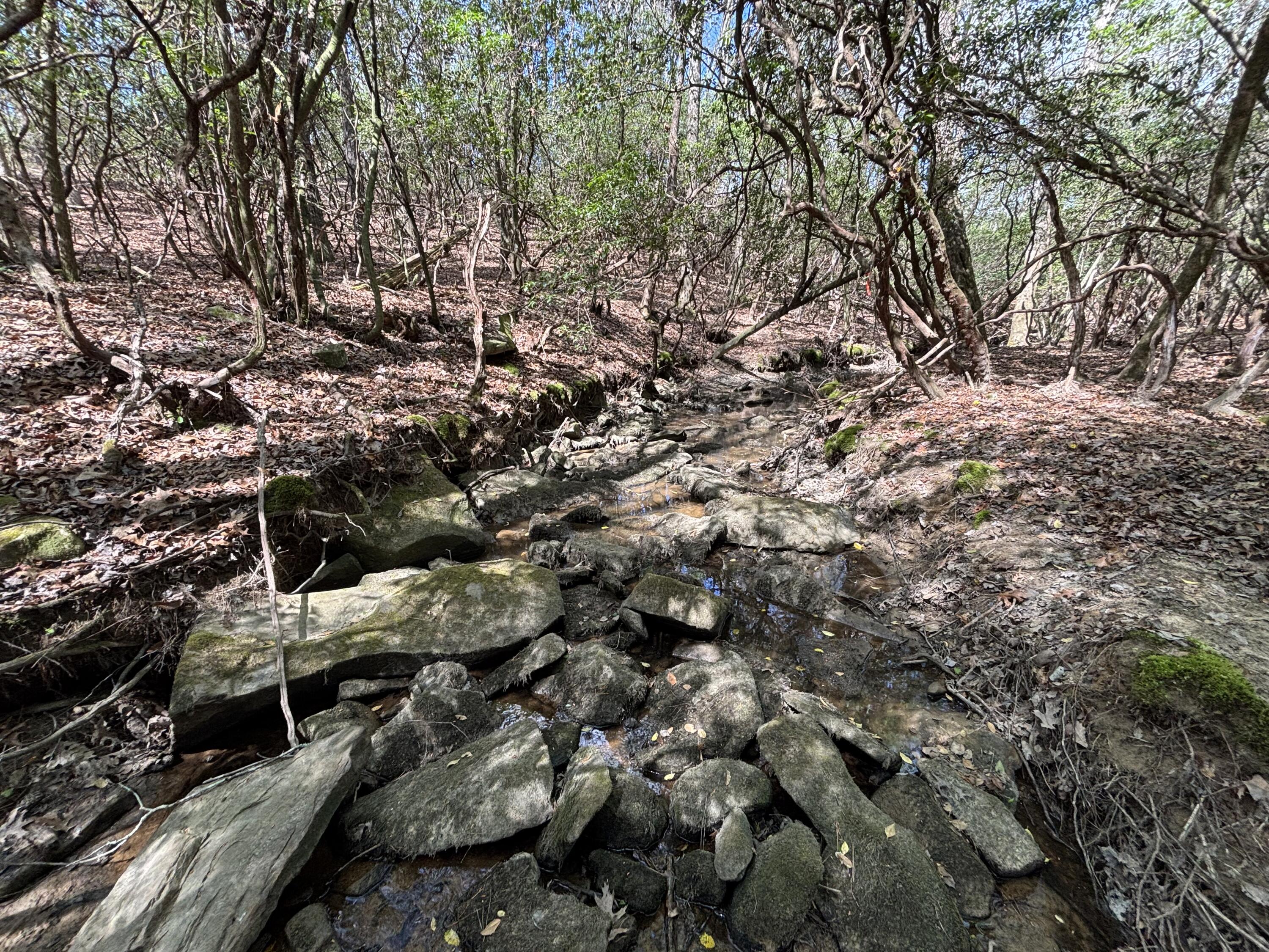 7 Fredonia Road Dunlap, TN 37327 - Photo 8 of 43 Photo Apr 16 2026, 11 40 31 AM