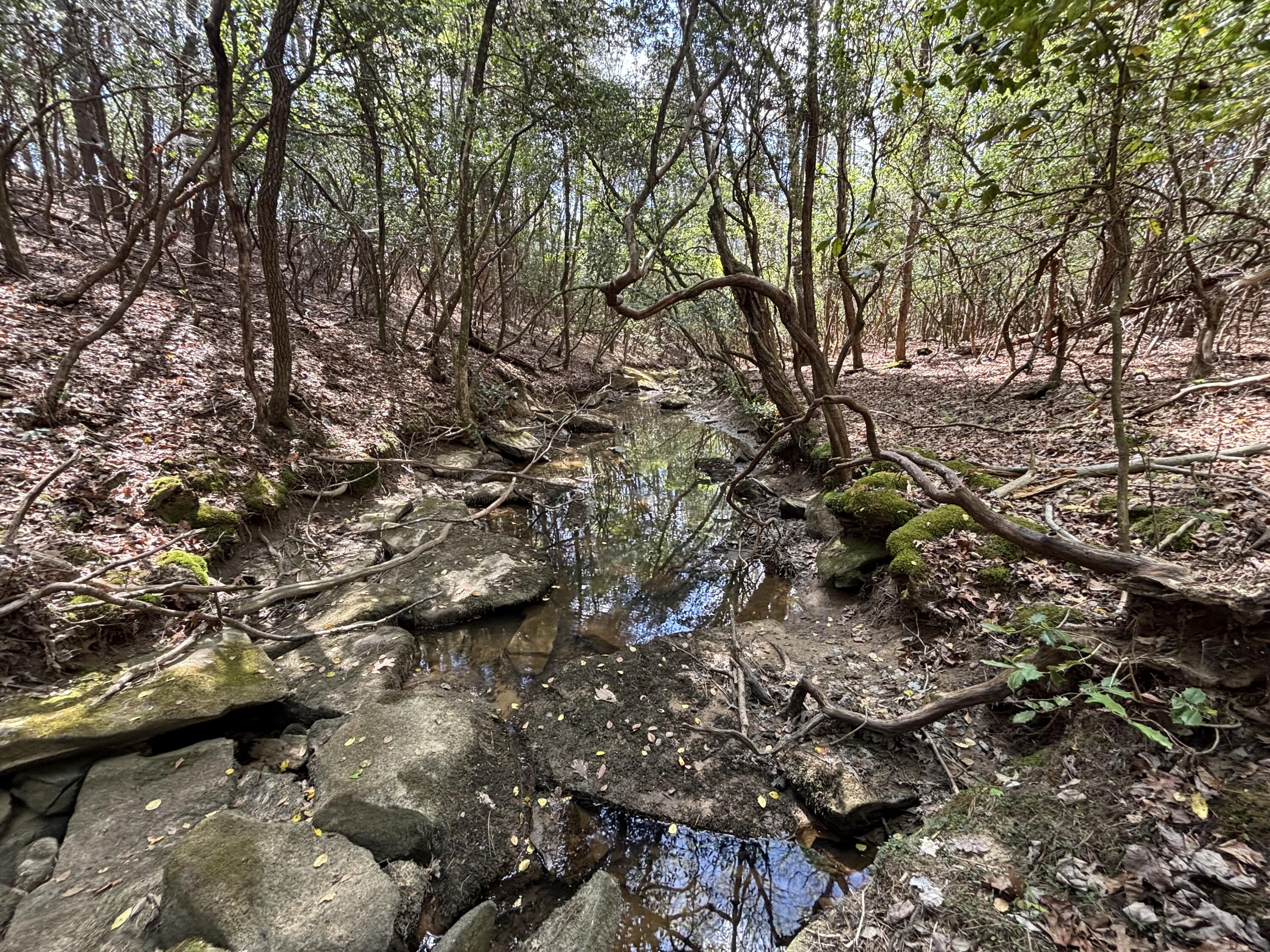 7 Fredonia Road Dunlap, TN 37327 - Photo 9 of 43 Photo Apr 16 2026, 11 40 57 AM