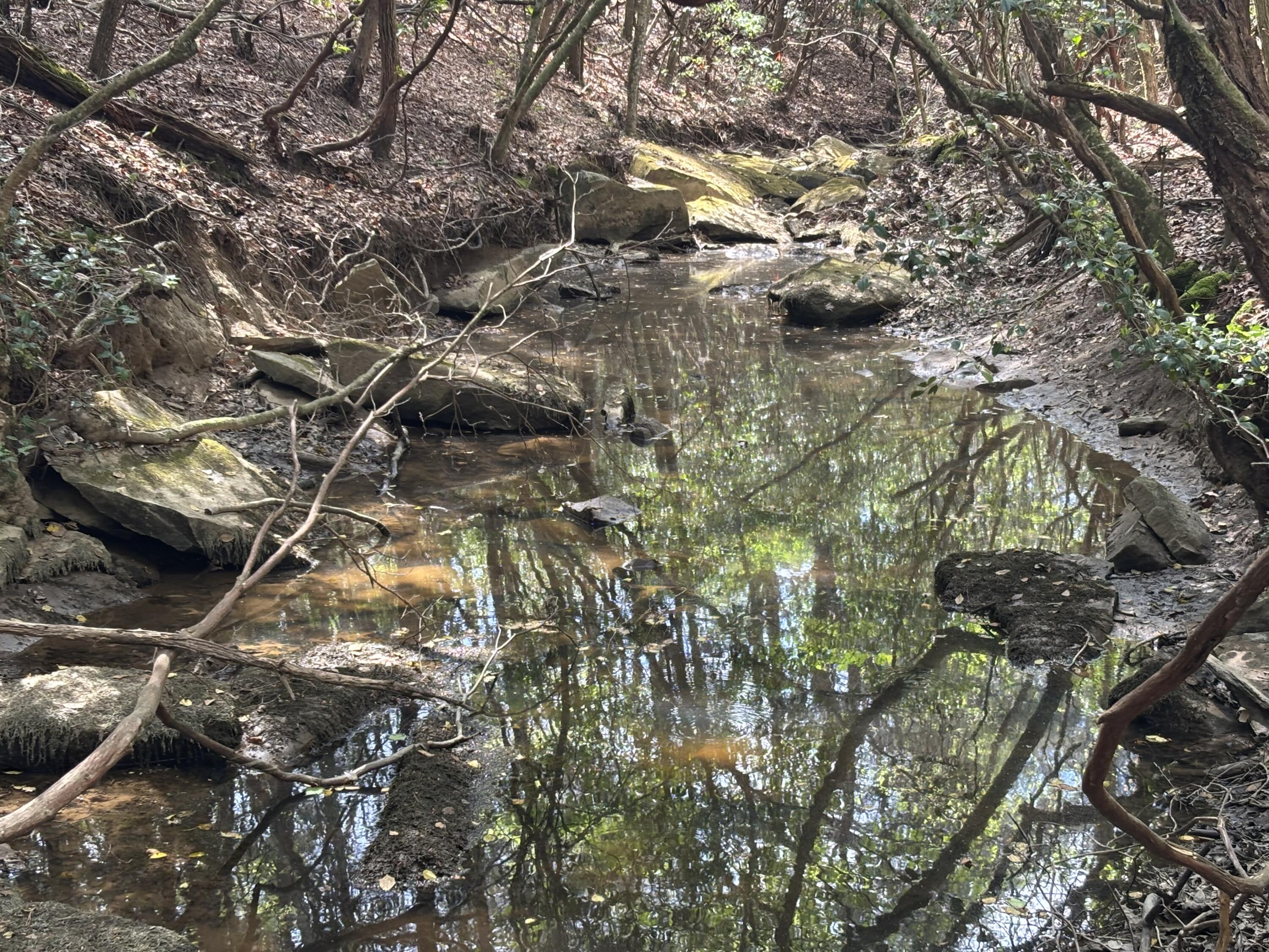 7 Fredonia Road Dunlap, TN 37327 - Photo 10 of 43 Photo Apr 16 2026, 11 41 08 AM