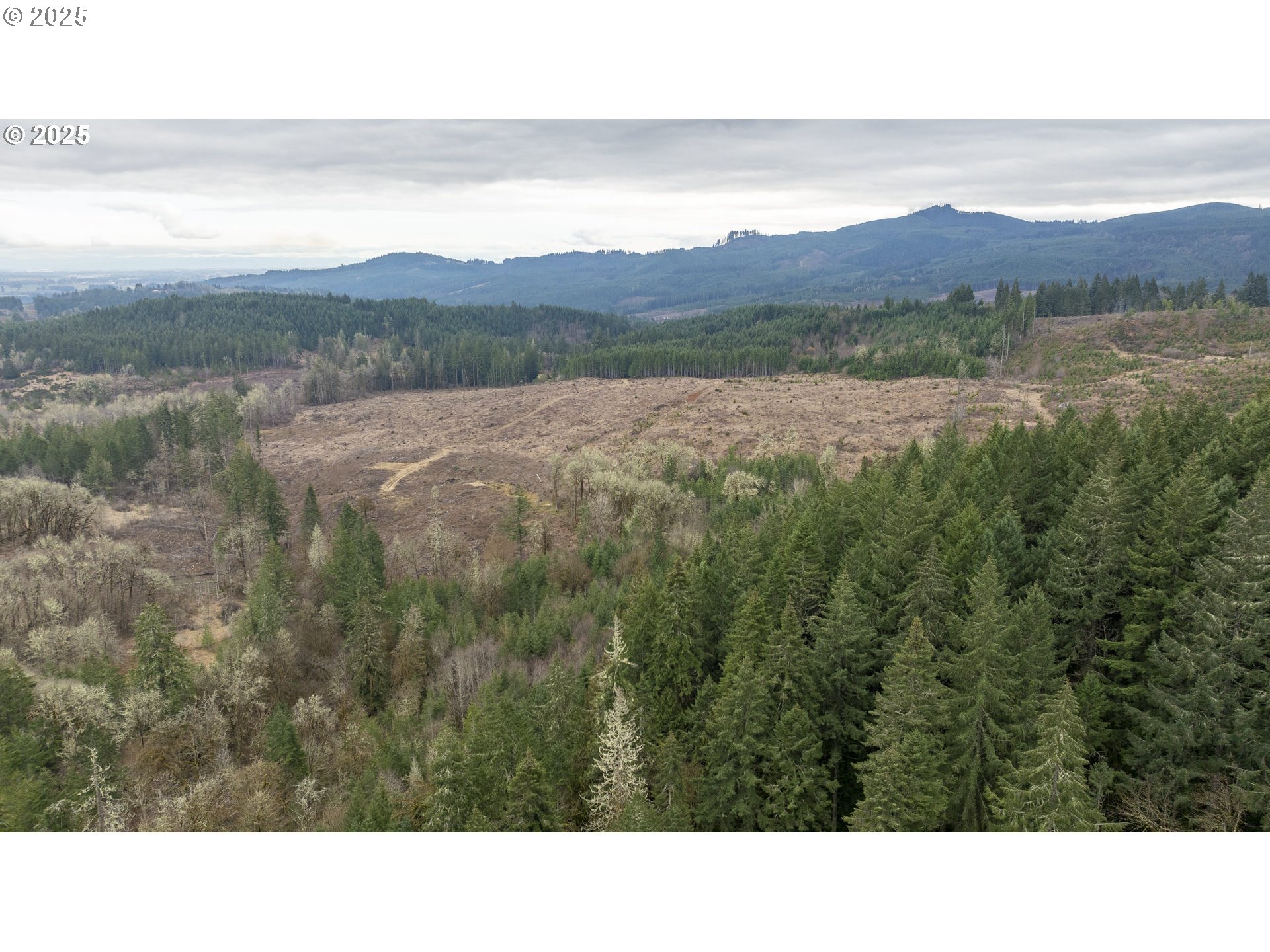 0 Northwest Panther Creek Road Yamhill, OR 97148 - Photo 12 of 28