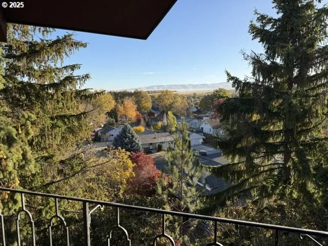 a view of a forest from balcony