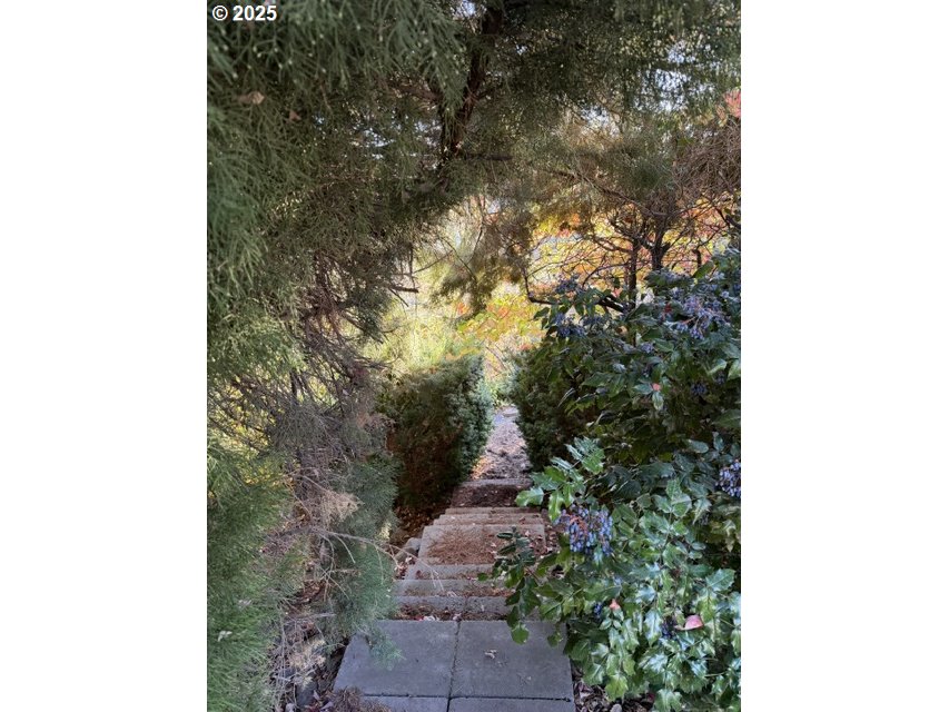 681 College Street Milton Freewater, OR 97862 - Photo 25 of 27 a backyard of a house