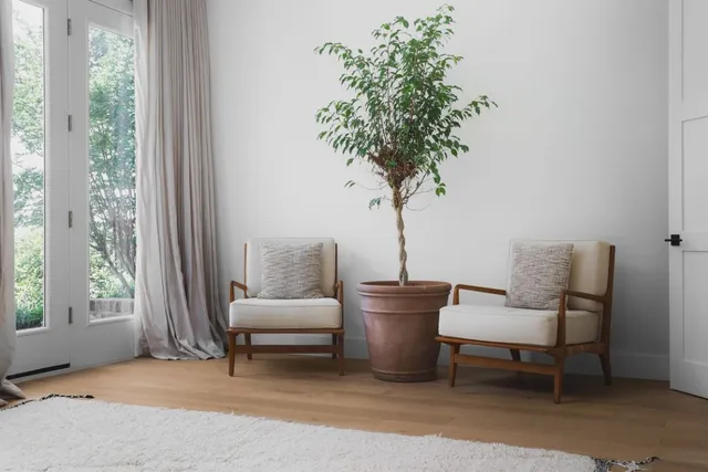 $4,995,000 | 5100 Cuesta Verde, Austin, TX 78746