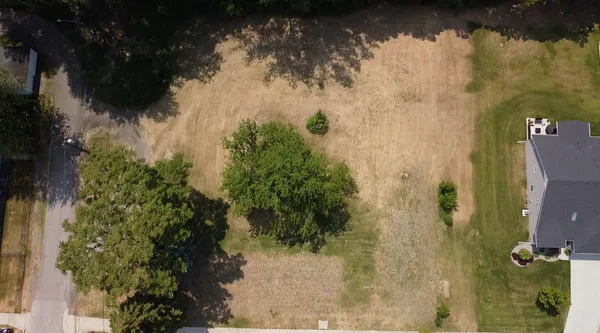 a view of a yard with trees