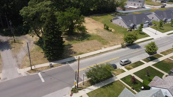 a view of a yard with plants