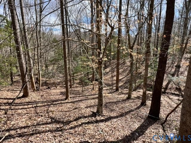 0 Tunstall Road New Kent, VA 23124 - Photo 11 of 19 View of nature