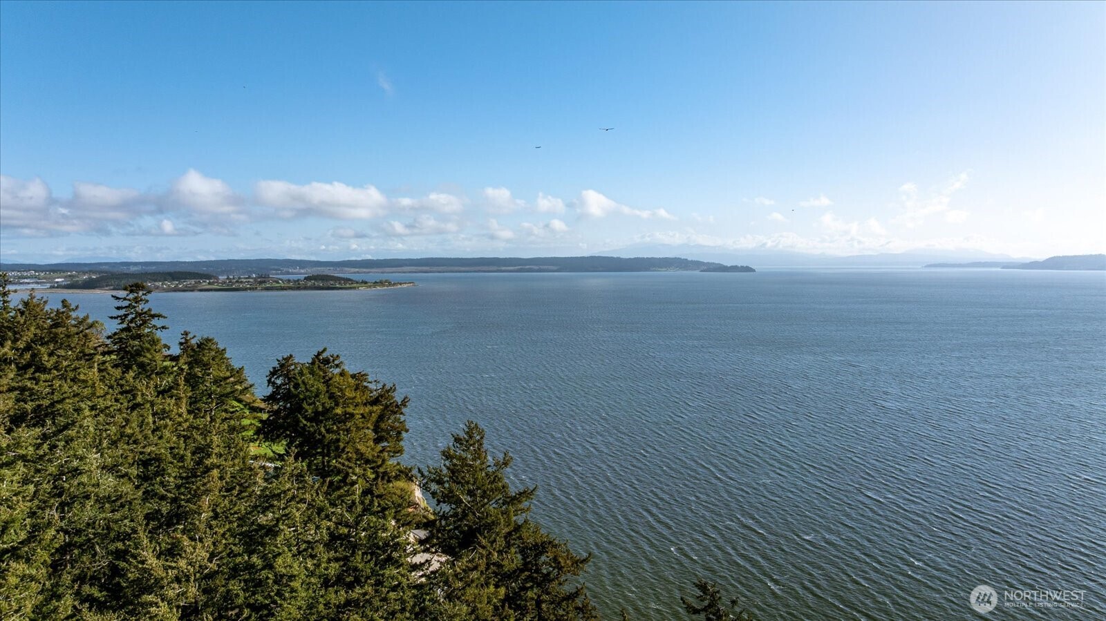 1012 North Scenic Heights Road Oak Harbor, WA 98277 - Photo 4 of 25