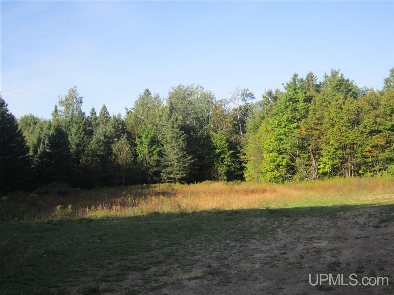 Indiantown Road Munising, MI 49862 - Photo 3 of 7