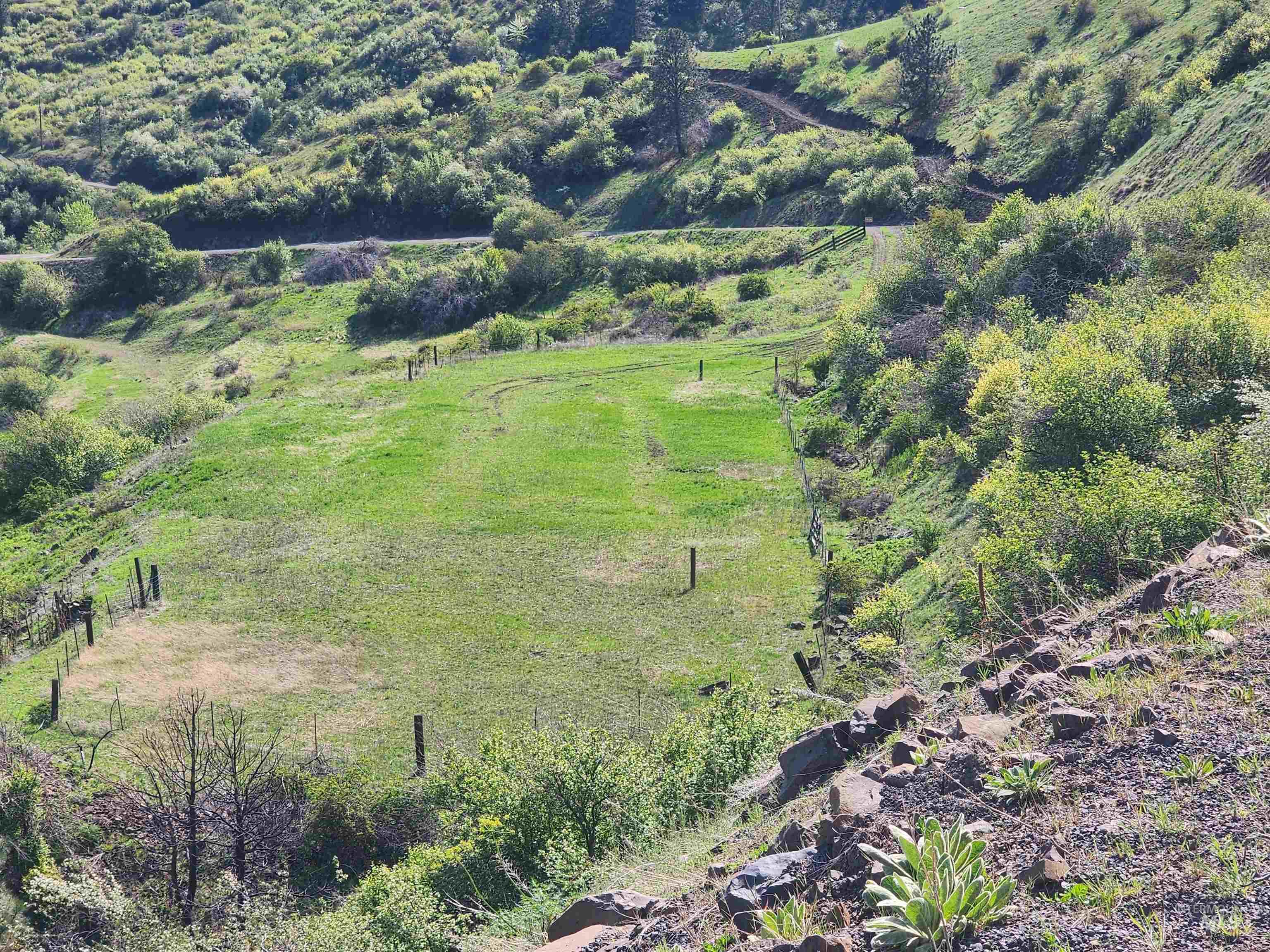 1073 Doumecq Road White Bird, ID 83554 - Photo 47 of 50