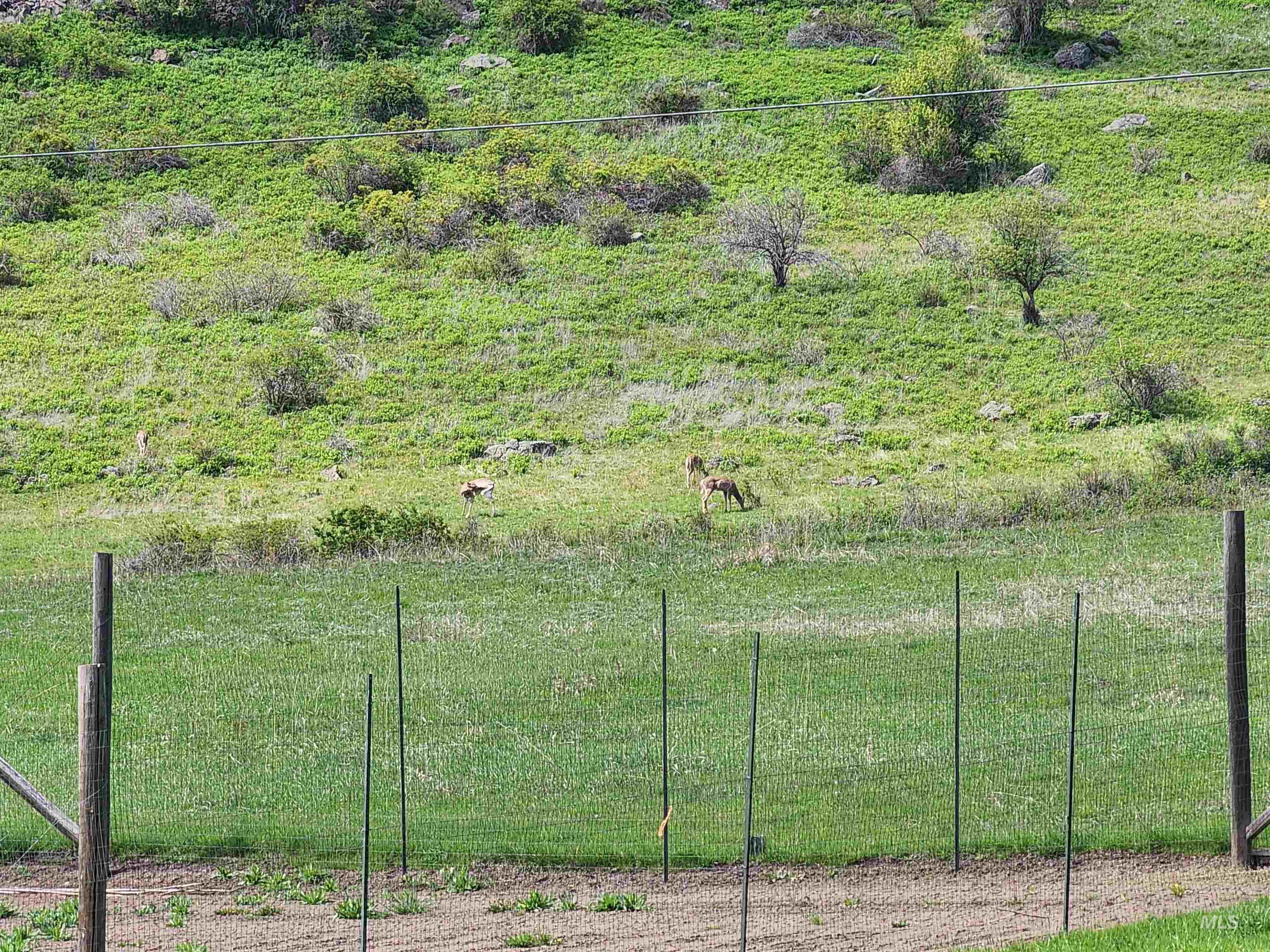 1073 Doumecq Road White Bird, ID 83554 - Photo 48 of 50