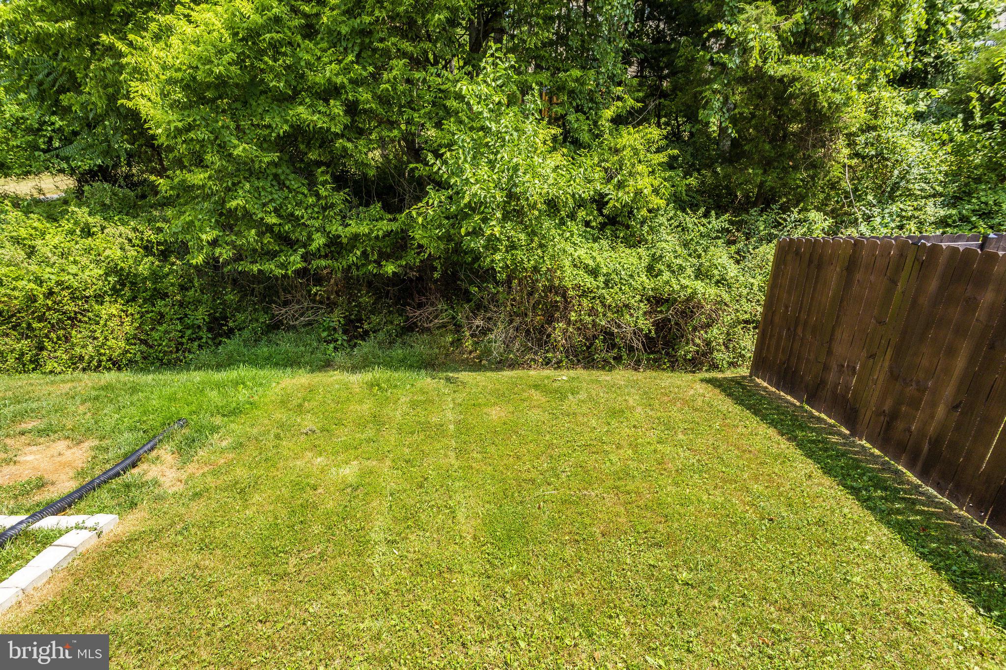 6113 Pine Ridge Terrace Frederick, MD 21701 - Photo 6 of 30
