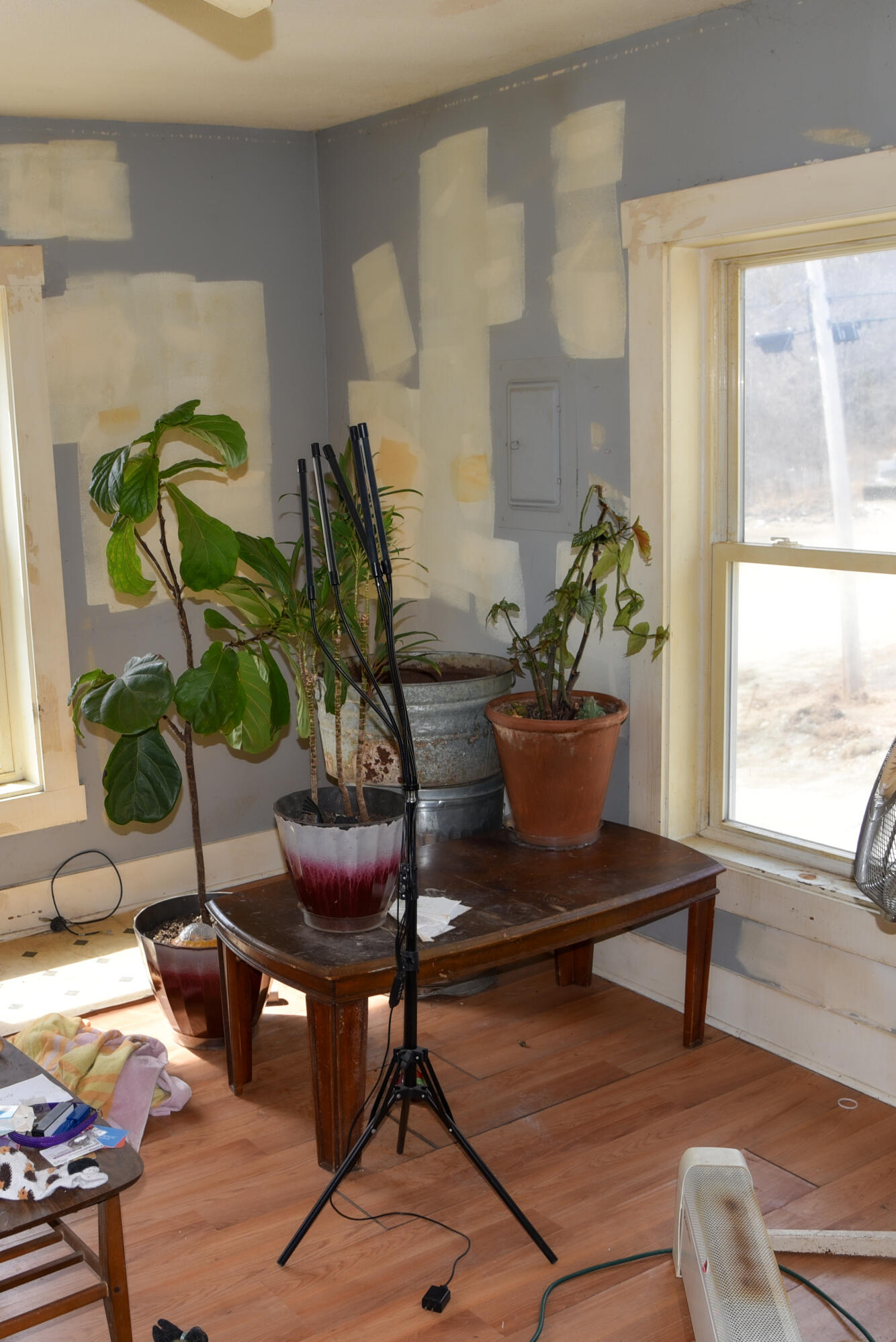 42 Front Street Sumner, ME 04292 - Photo 5 of 18 DSC_8893