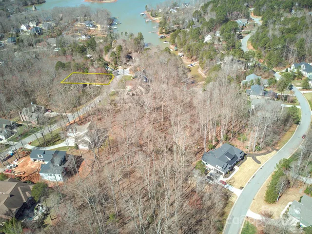 a close up of a tree