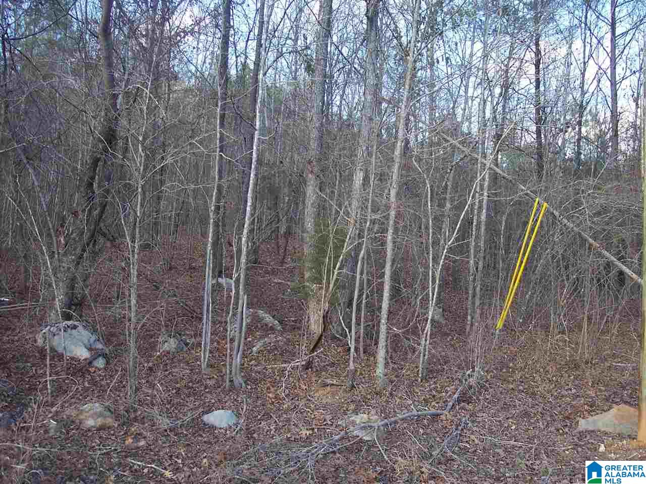 1 Dripping Rock Road, Unit 1 Jacksonville, AL 36265 - Photo 4 of 4