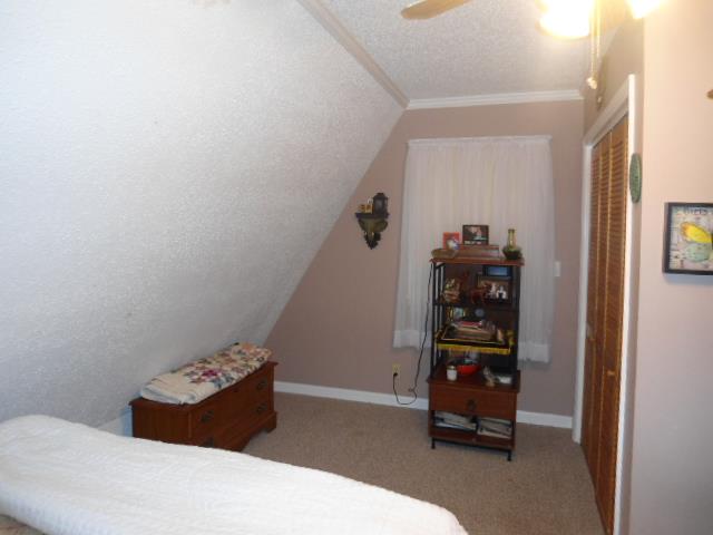 185 Maxwell Branch Road Cottontown, TN 37048 - Photo 7 of 15 another view of master area